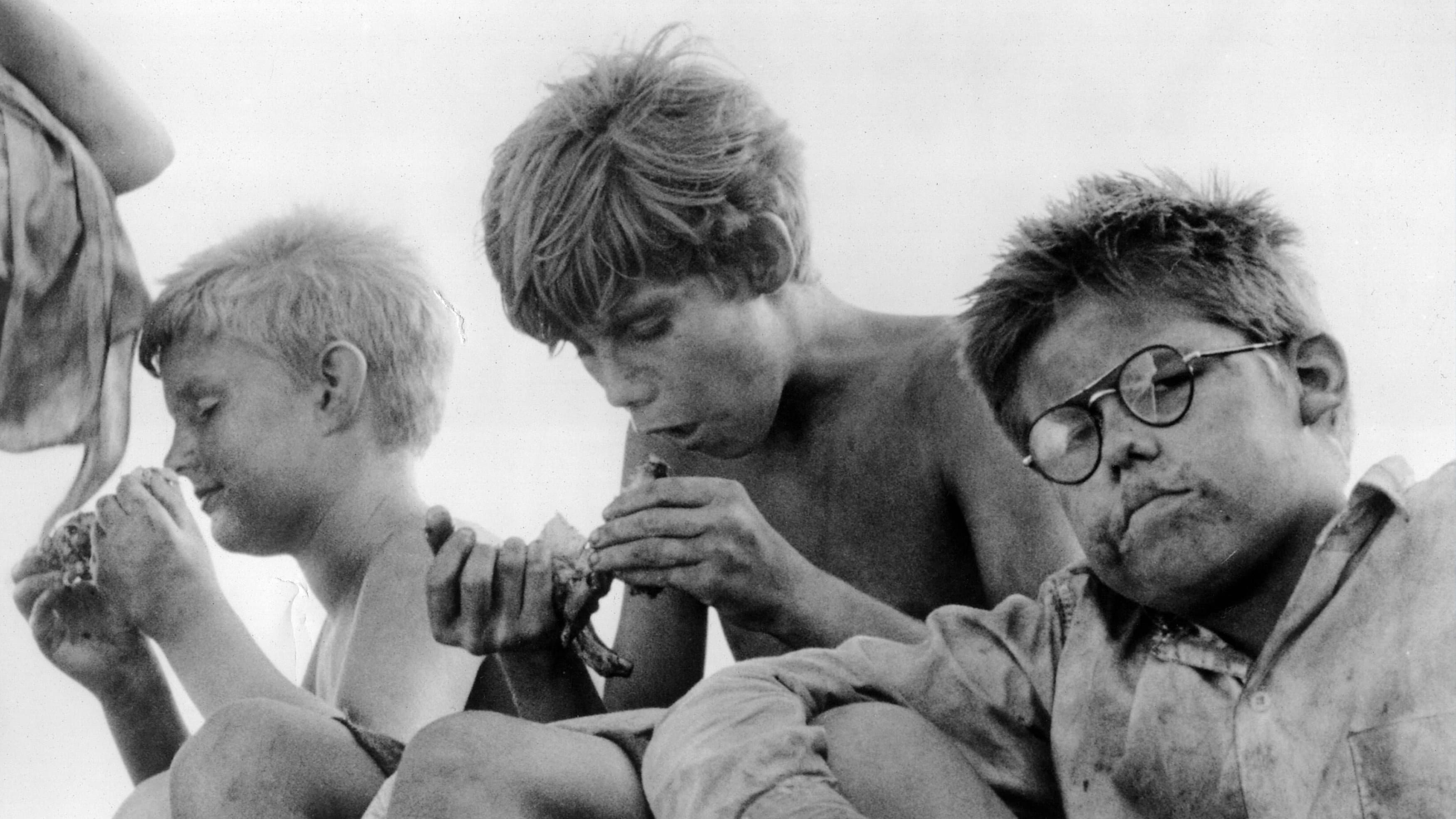 Backdrop of Lord of the Flies