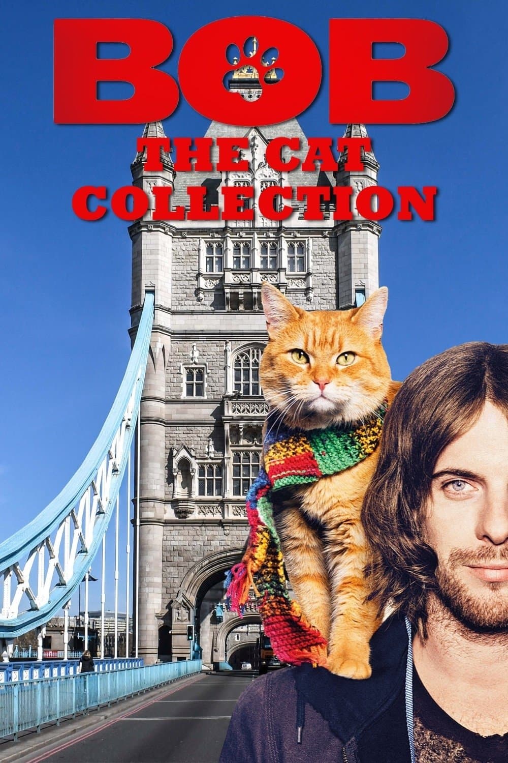 Poster of Bob The Cat Collection