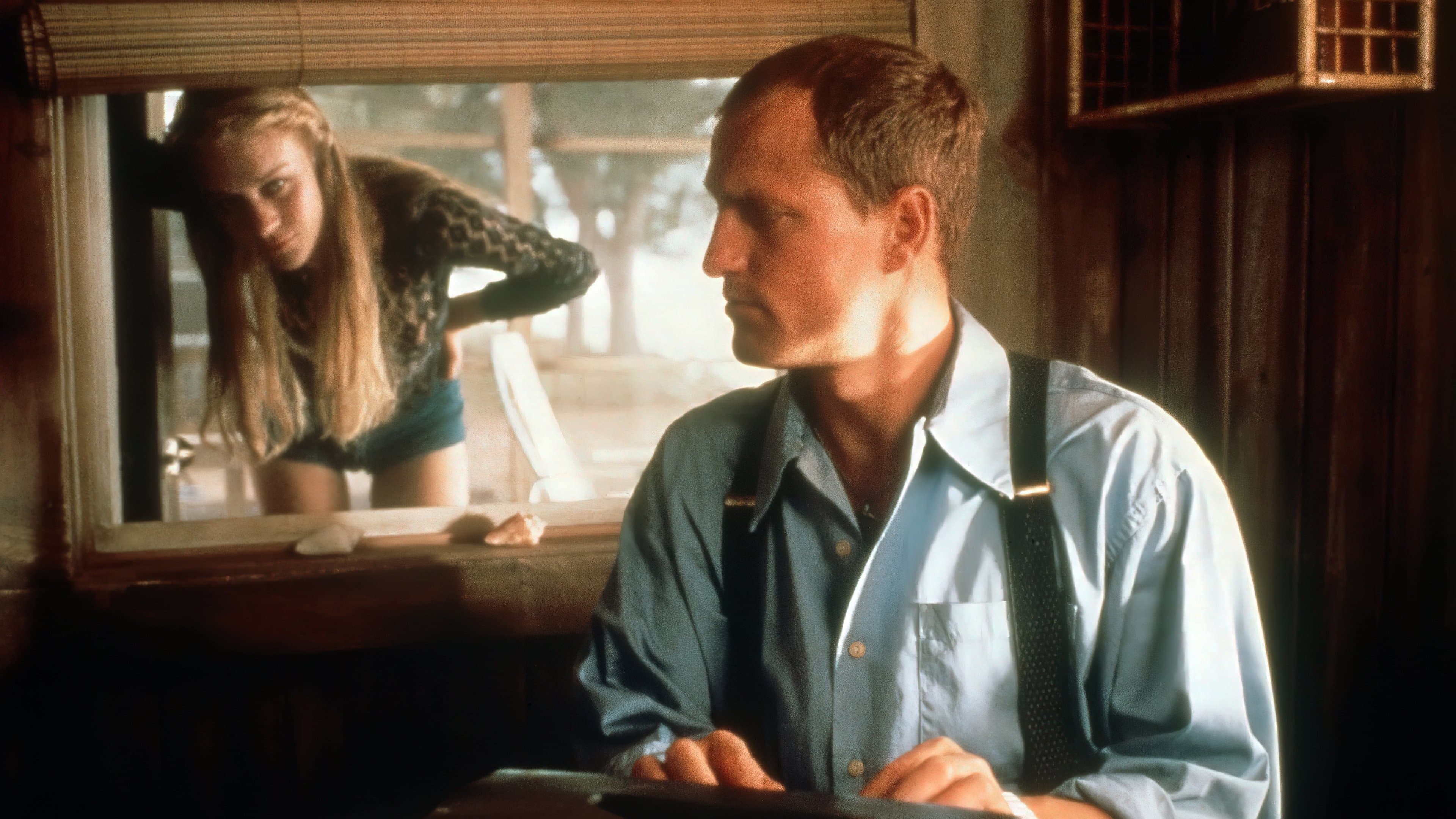 Backdrop of Palmetto