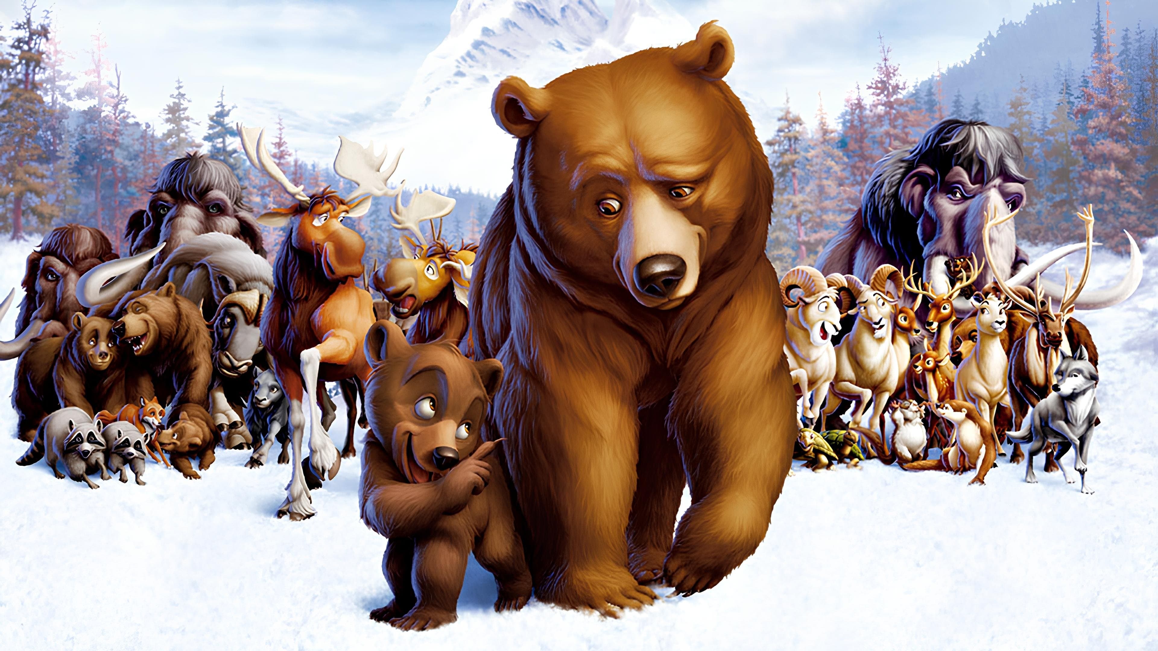 Backdrop of Brother Bear Collection