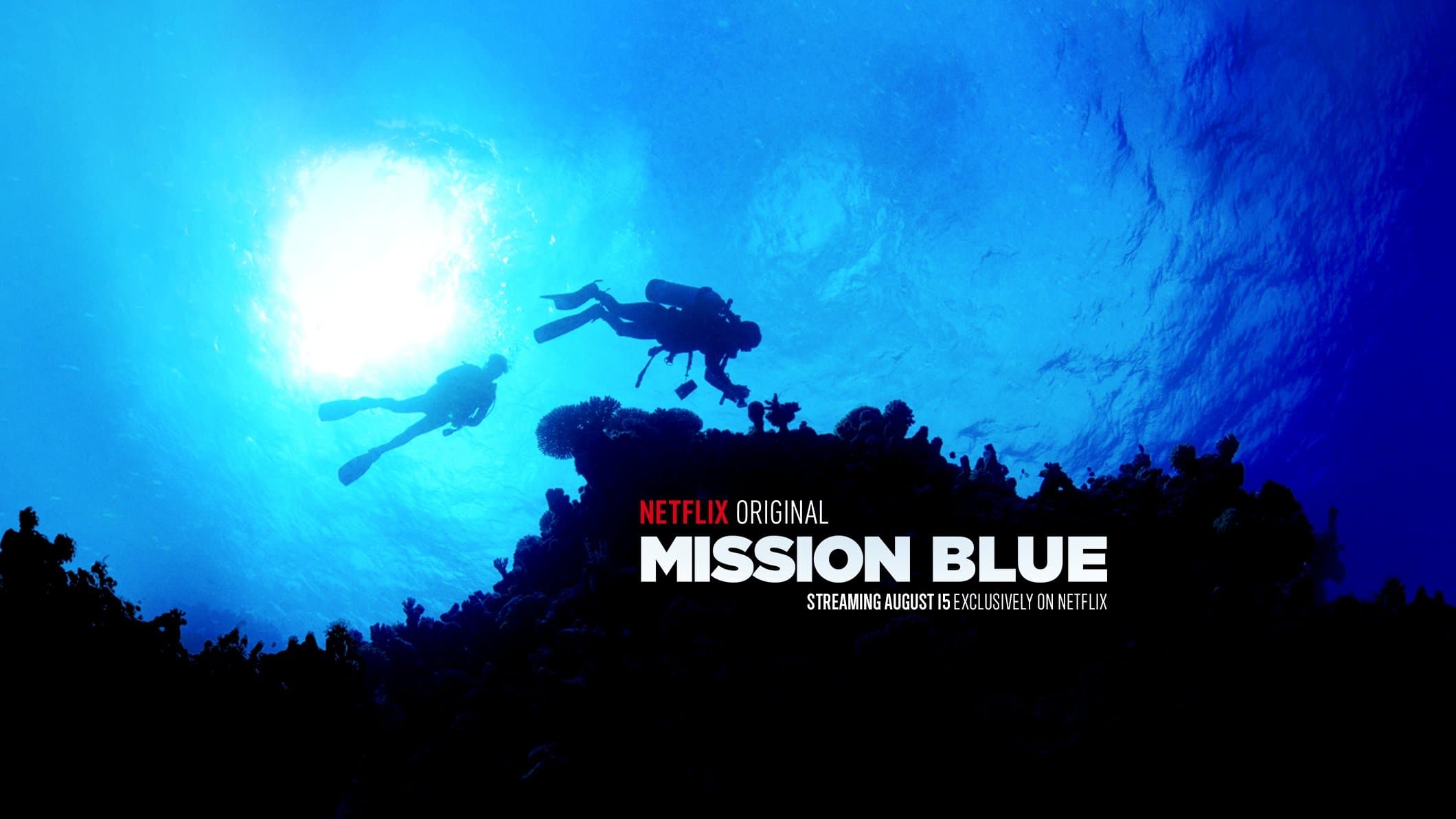 Backdrop of Mission Blue