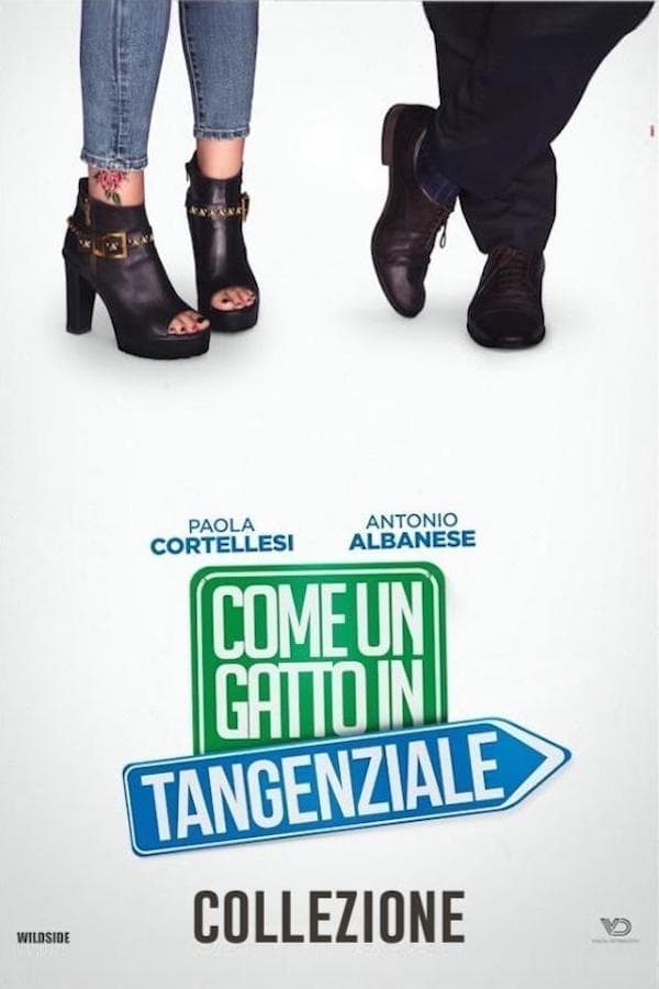 Poster of Come un gatto in tangenziale - Collezione