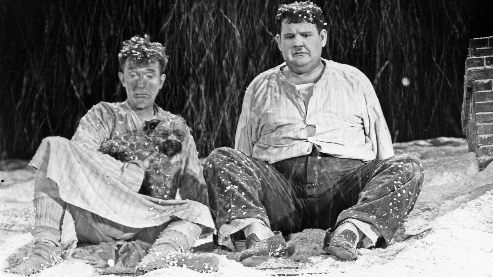 Backdrop of Laughing Gravy