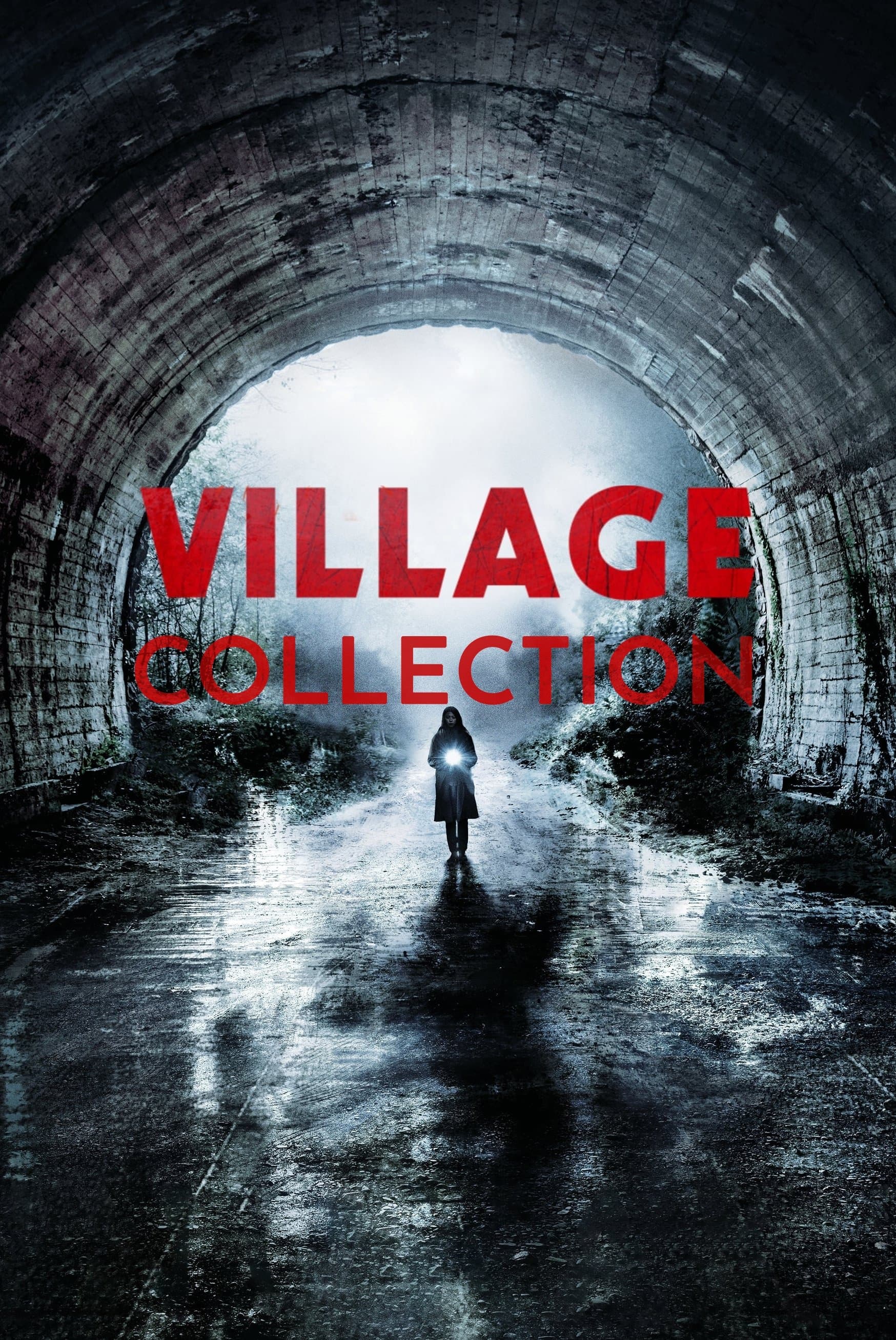 Poster of Village Collection