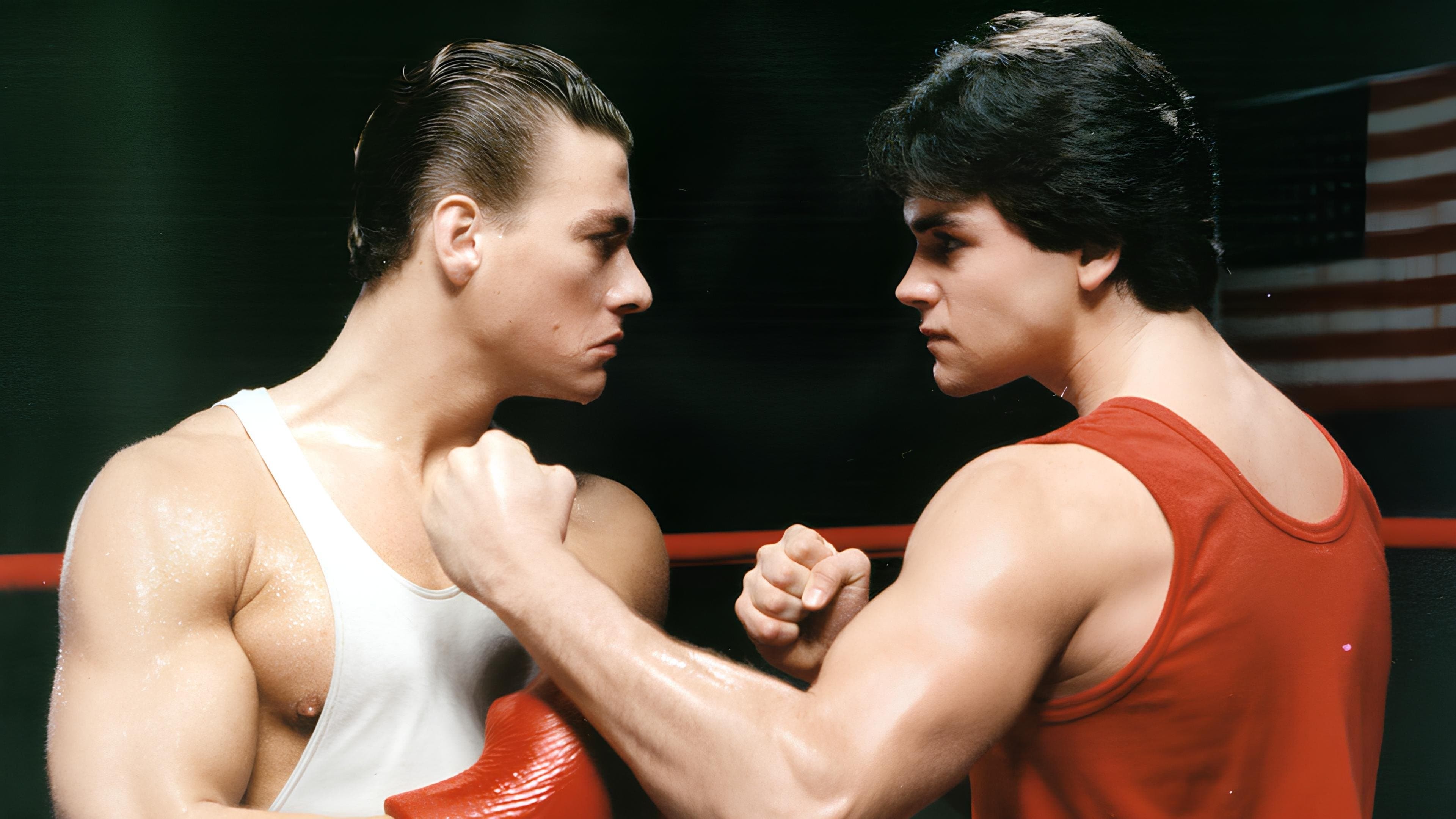 Backdrop of No Retreat, No Surrender Collection