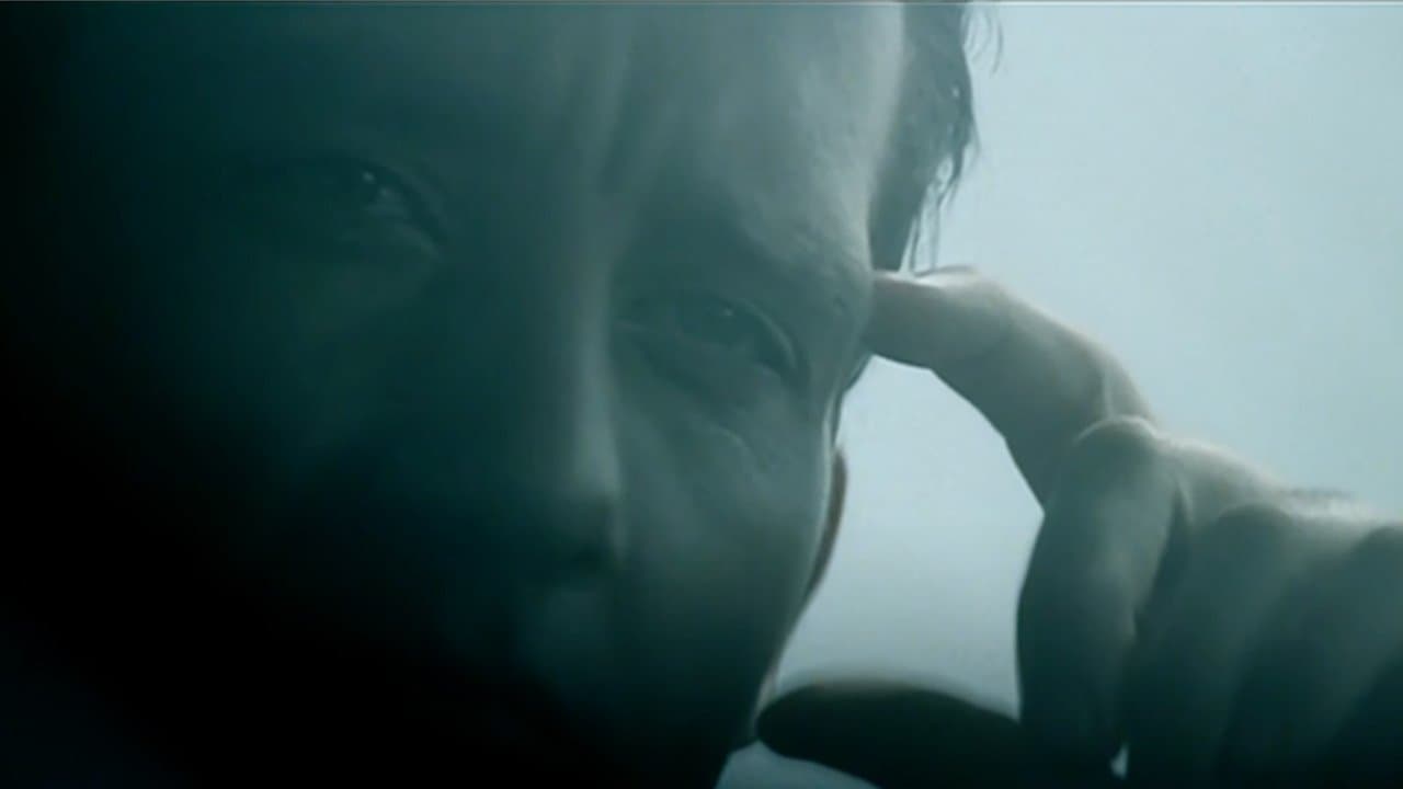 Backdrop of The Follow