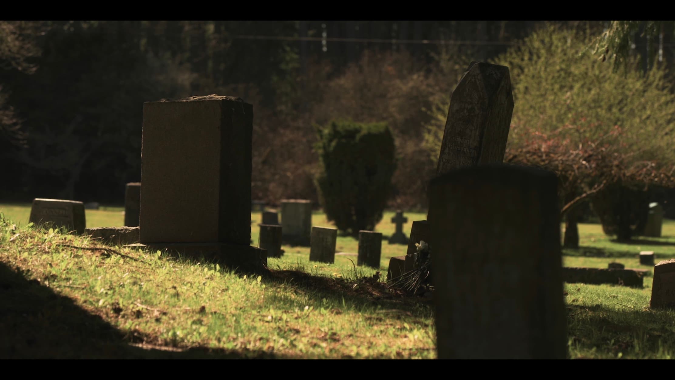 Backdrop of They Reach