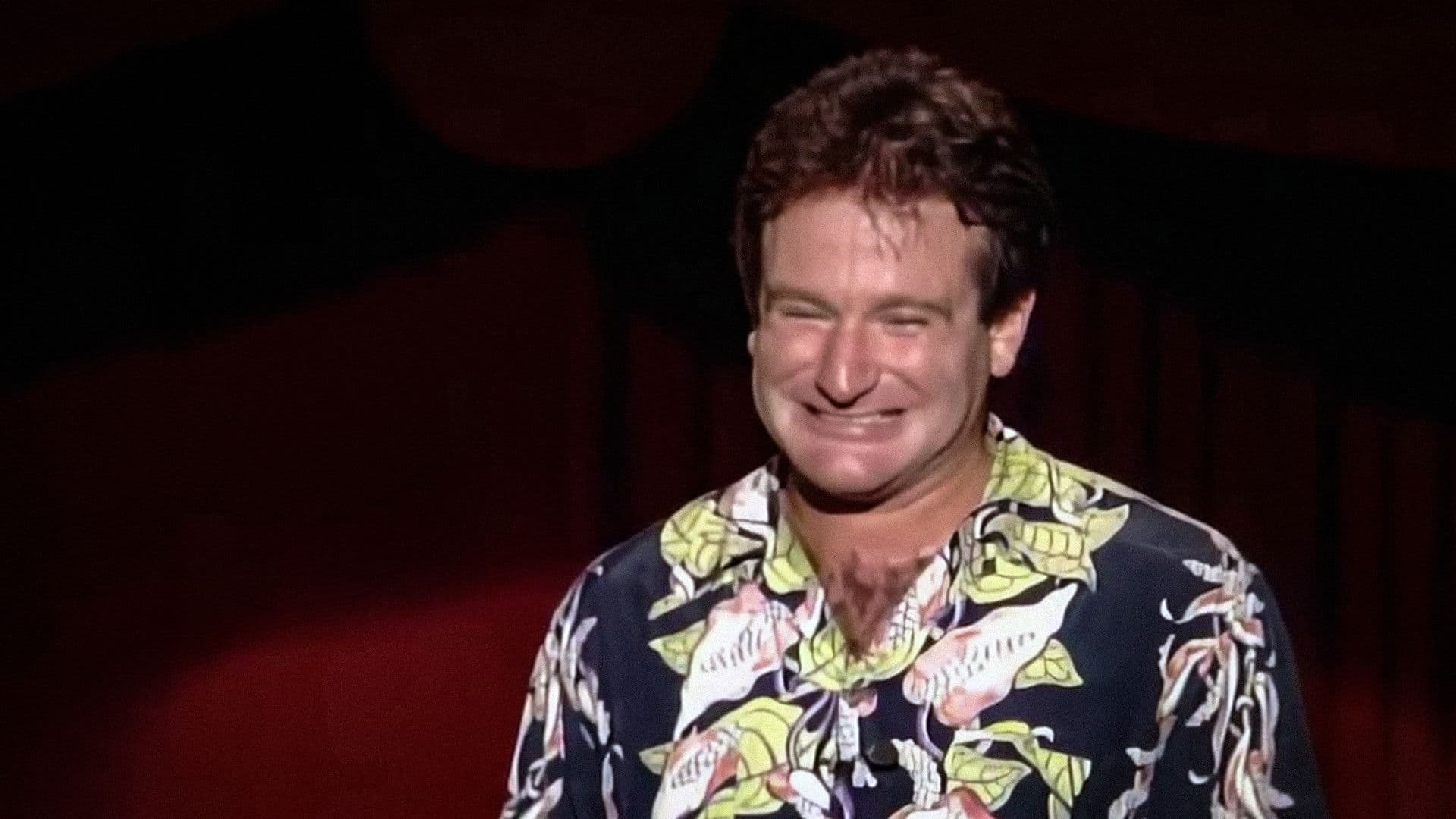 Backdrop of An Evening with Robin Williams