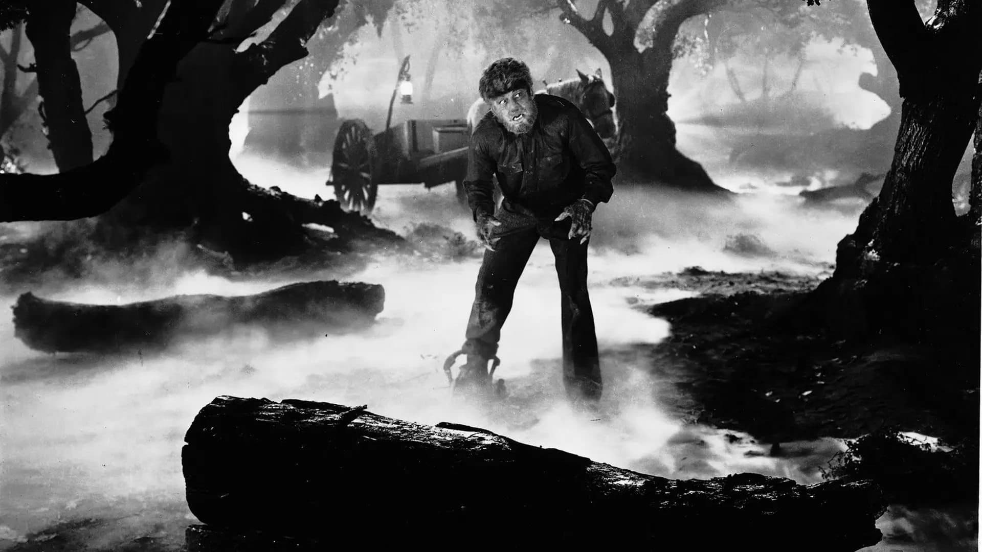 Backdrop of The Wolf Man