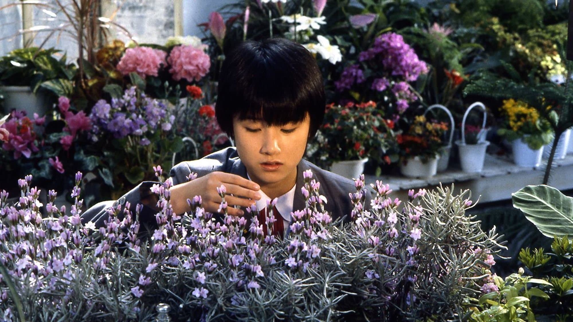 Backdrop of The Girl Who Leapt Through Time