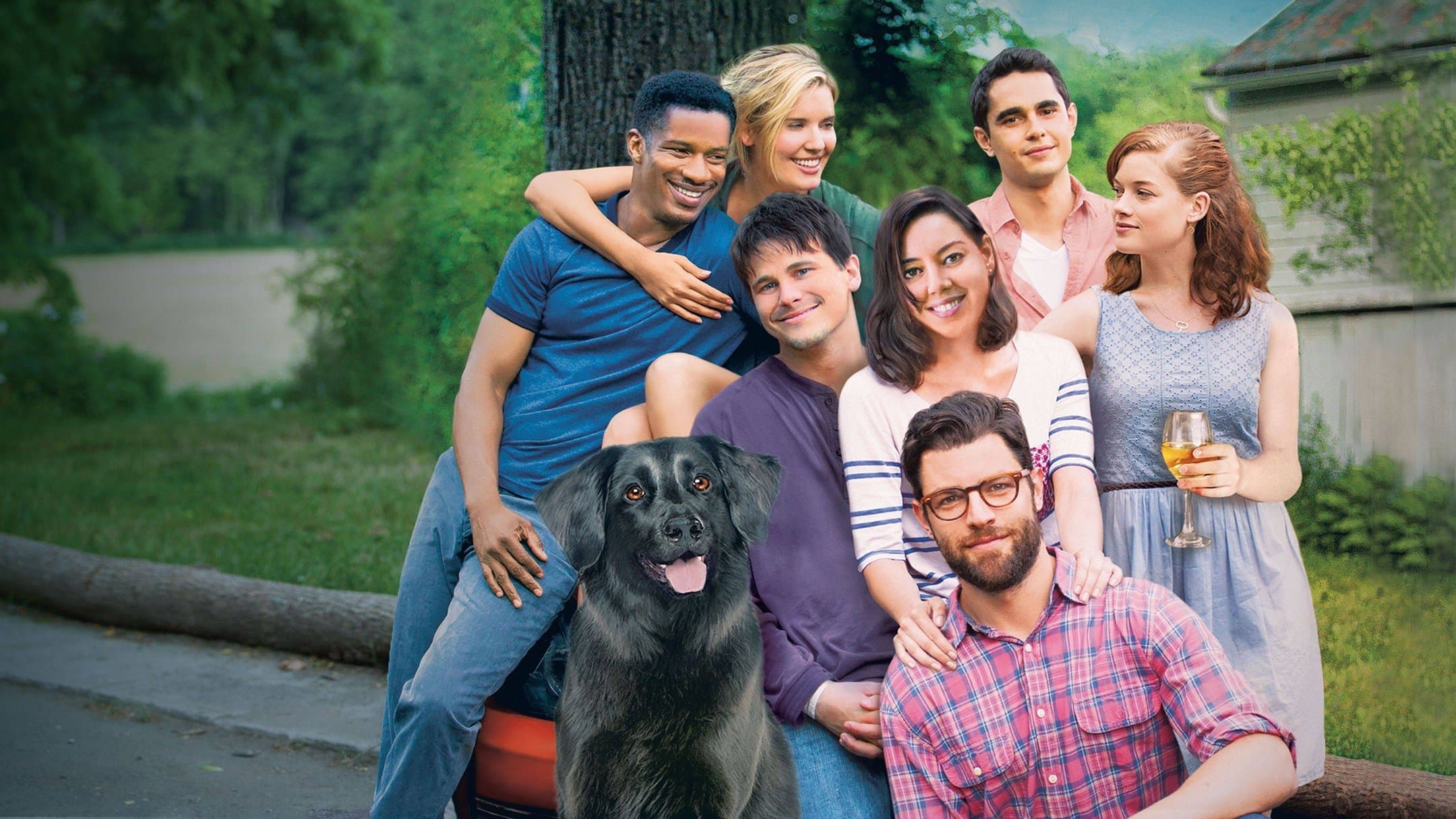 Backdrop of About Alex