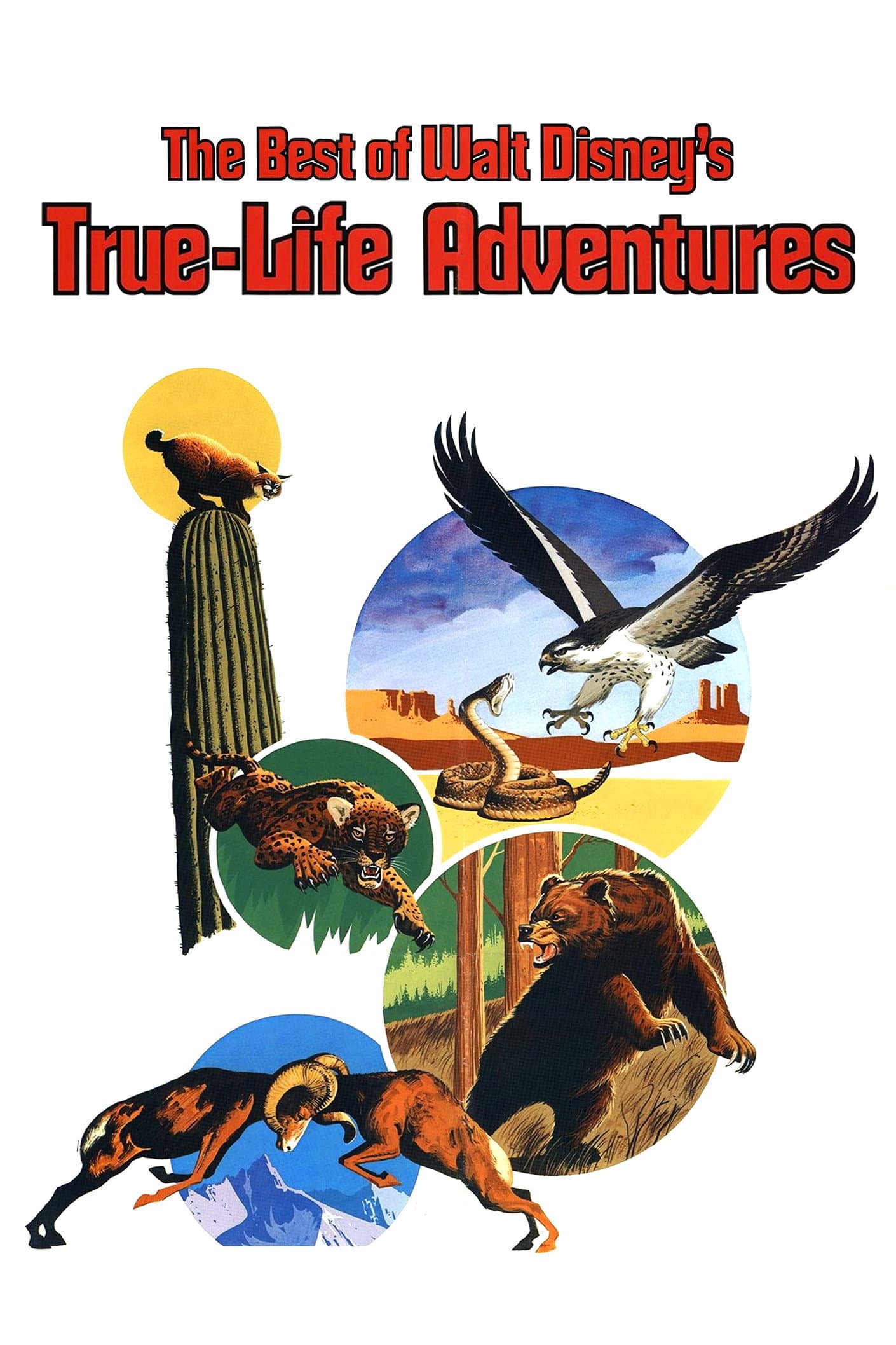 Poster of The Best of Walt Disney's True-Life Adventures