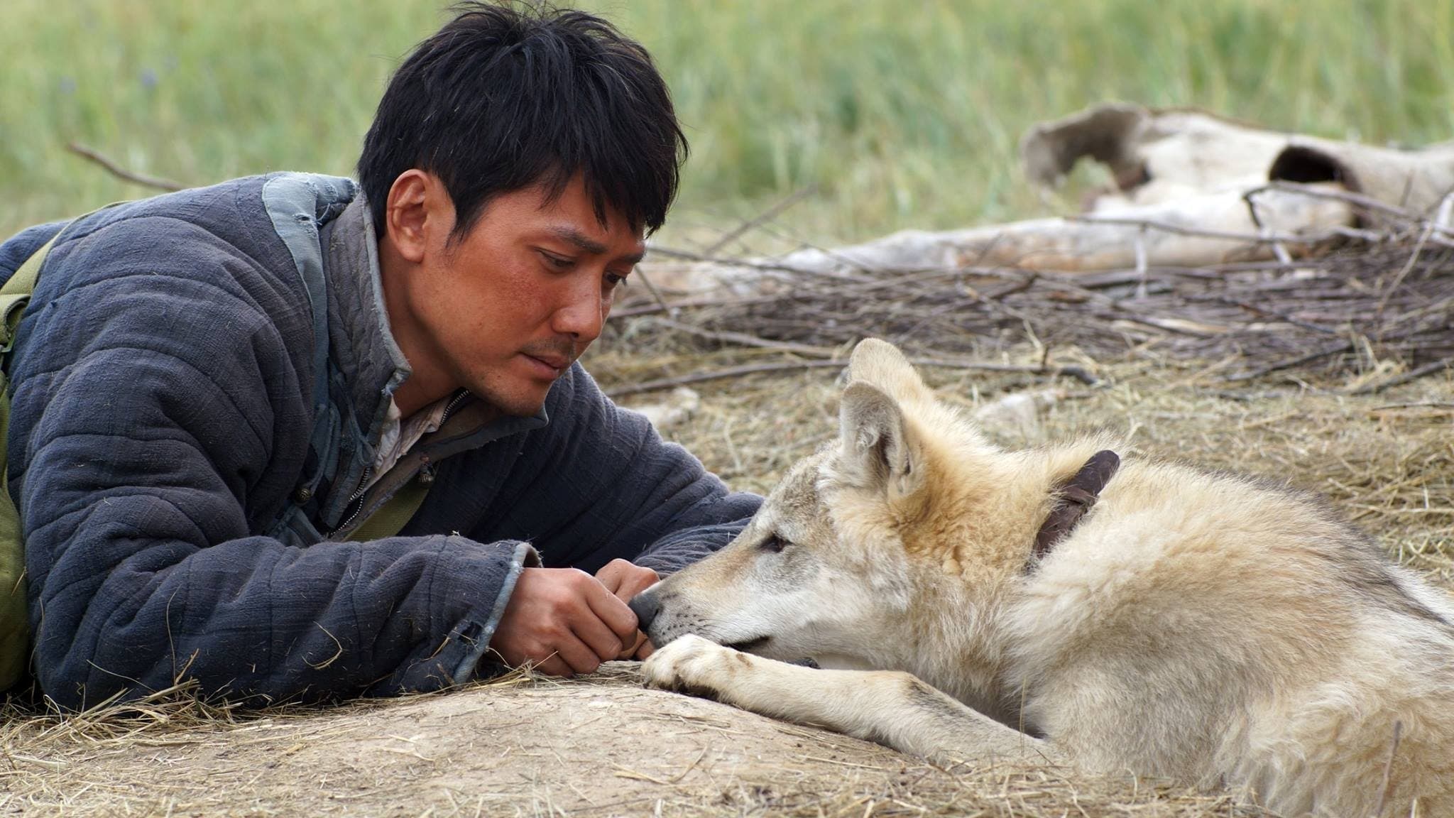 Backdrop of Wolf Totem