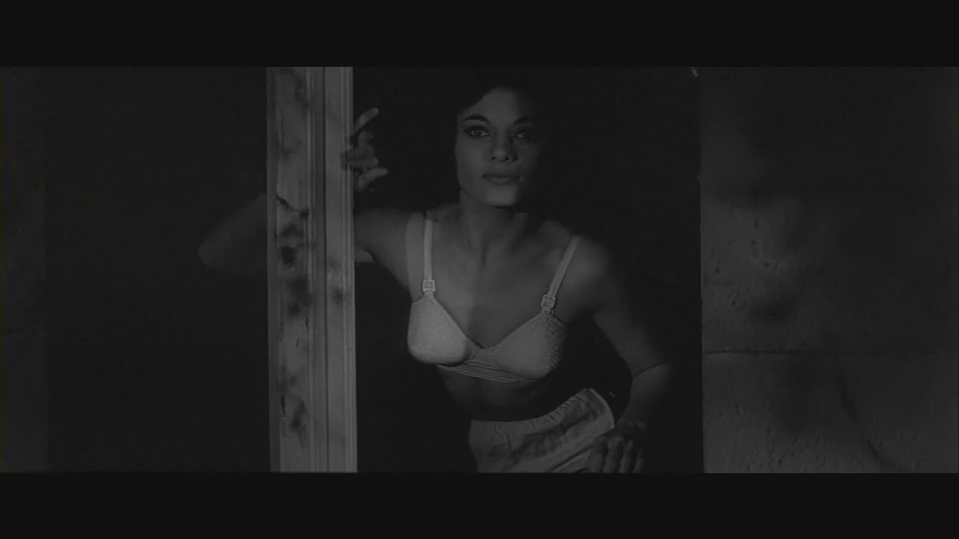 Backdrop of Curse of the Fly