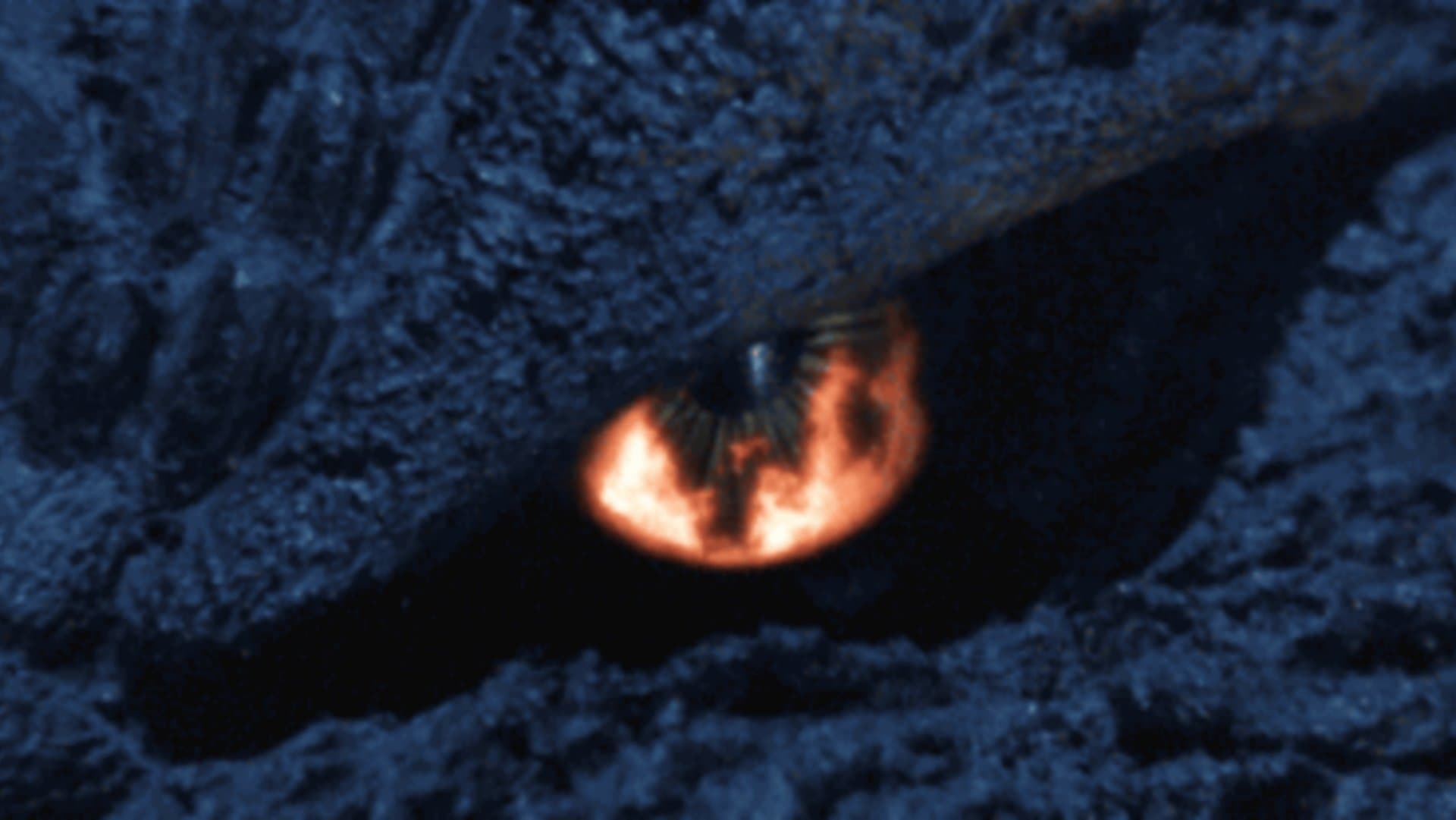 Backdrop of Godzilla: Final Wars