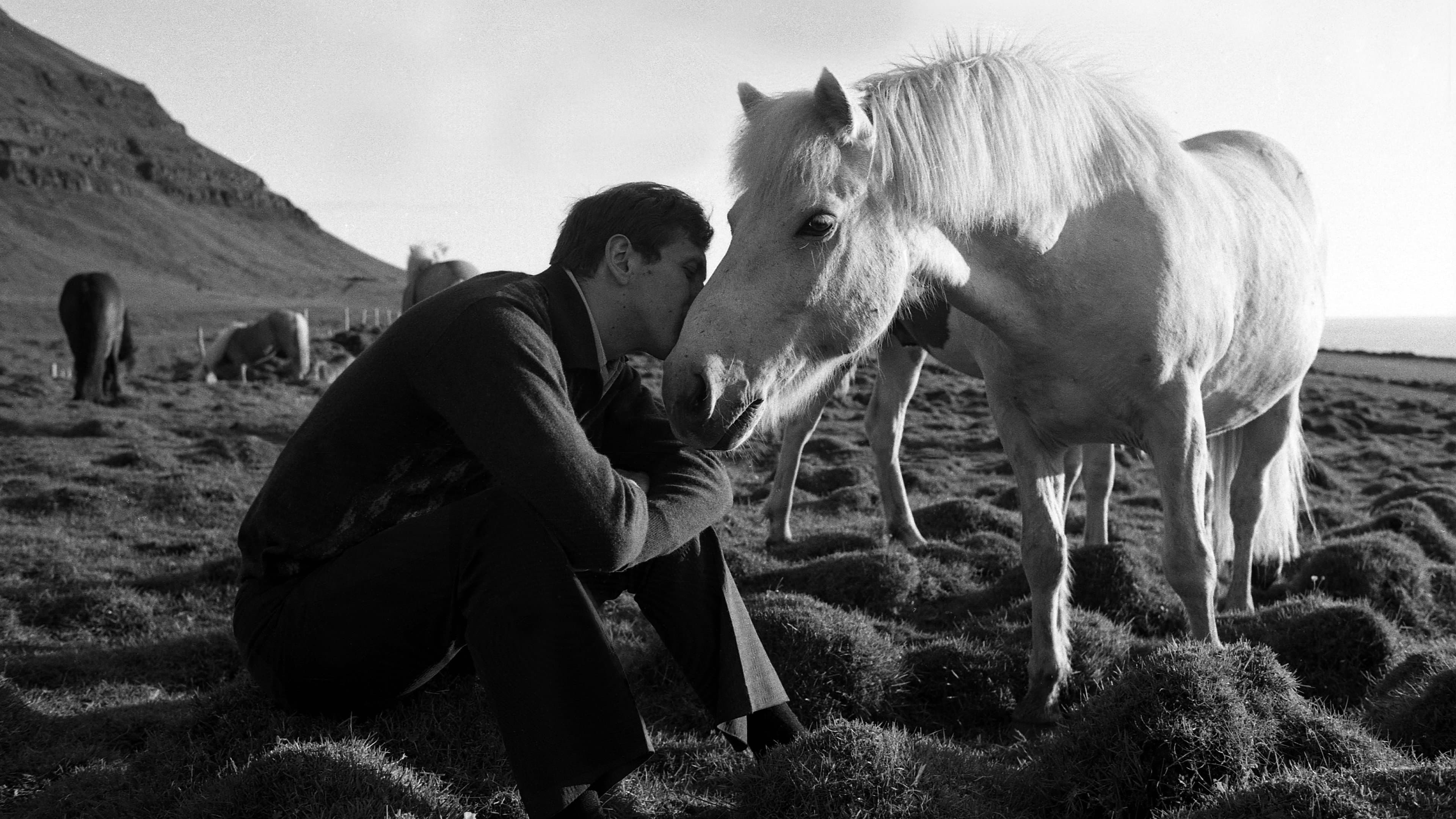 Backdrop of Bobby Fischer Against the World