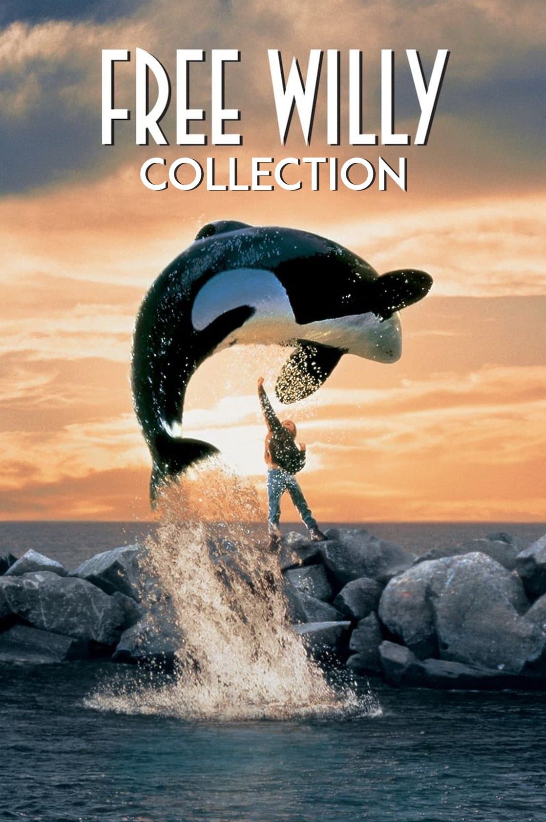 Poster of Free Willy Collection