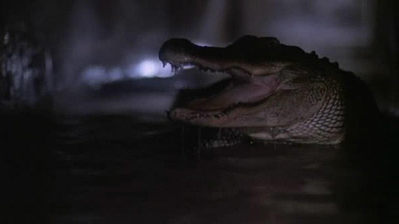 Backdrop of Alligator 2: The Mutation