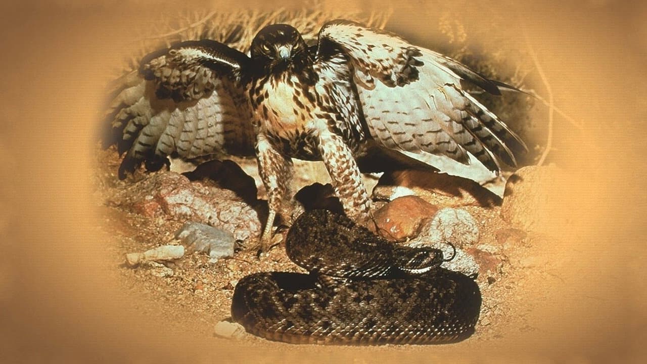 Backdrop of The Best of Walt Disney's True-Life Adventures