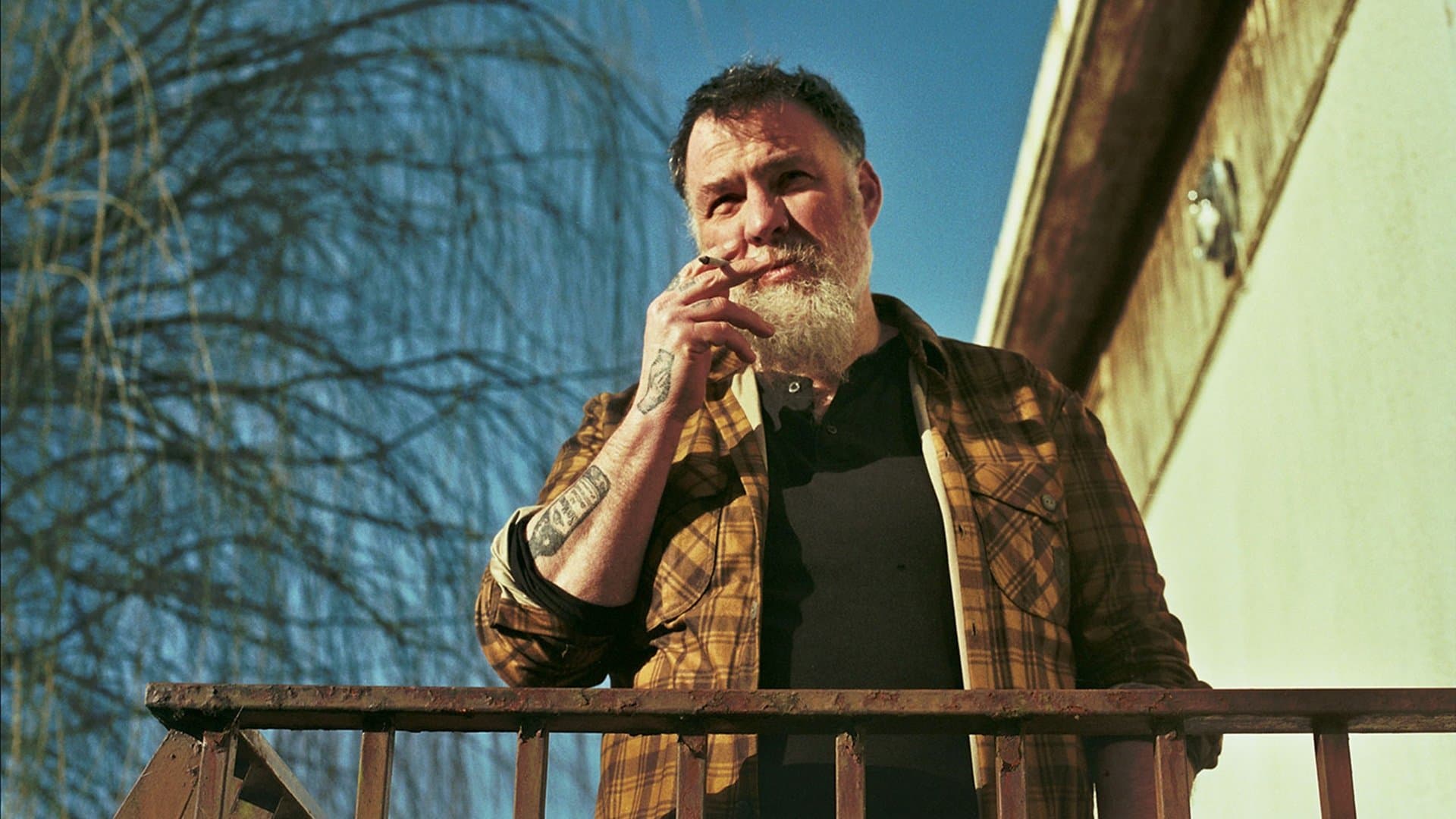 Backdrop of The First, the Last