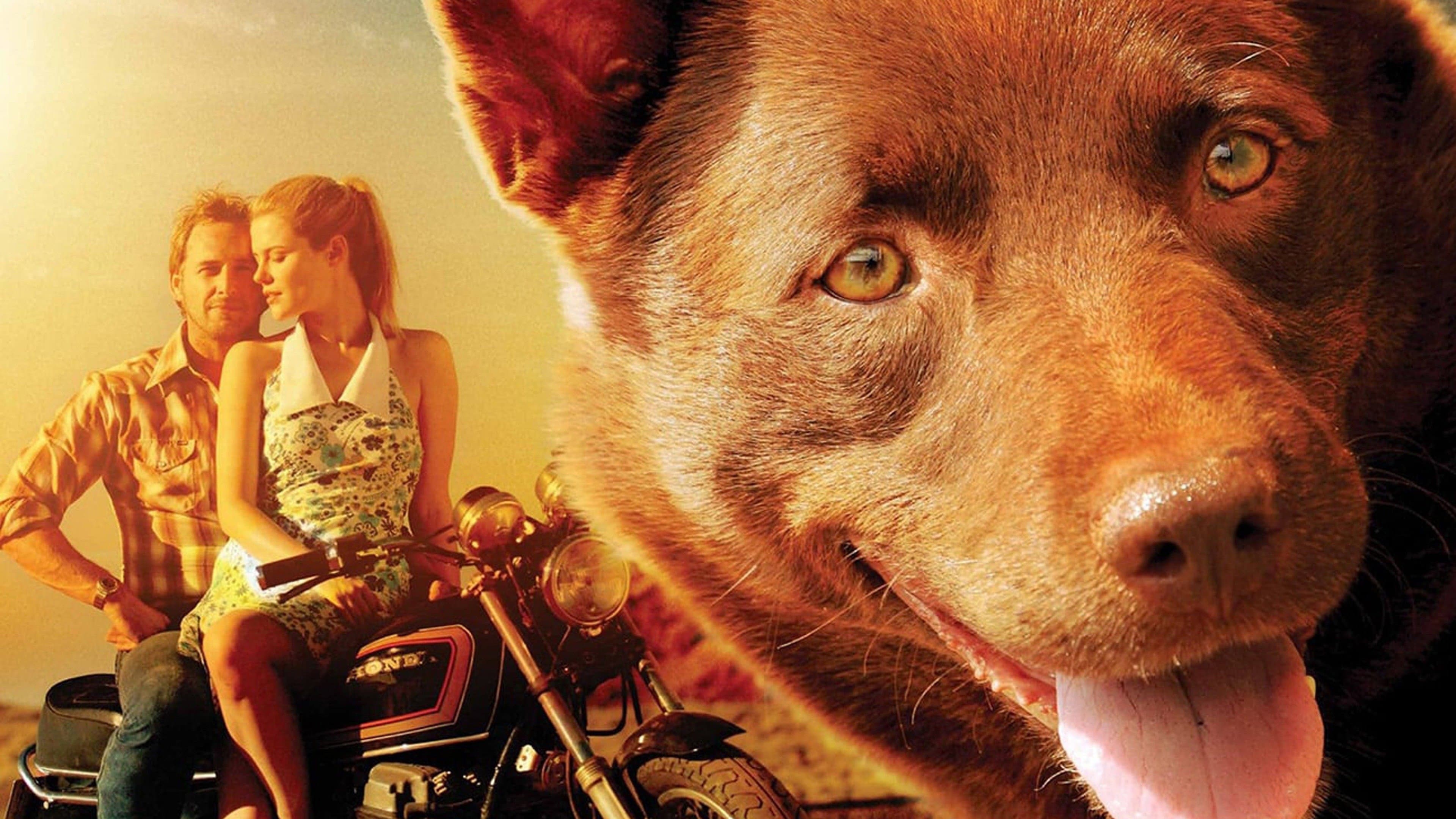 Backdrop of Red Dog