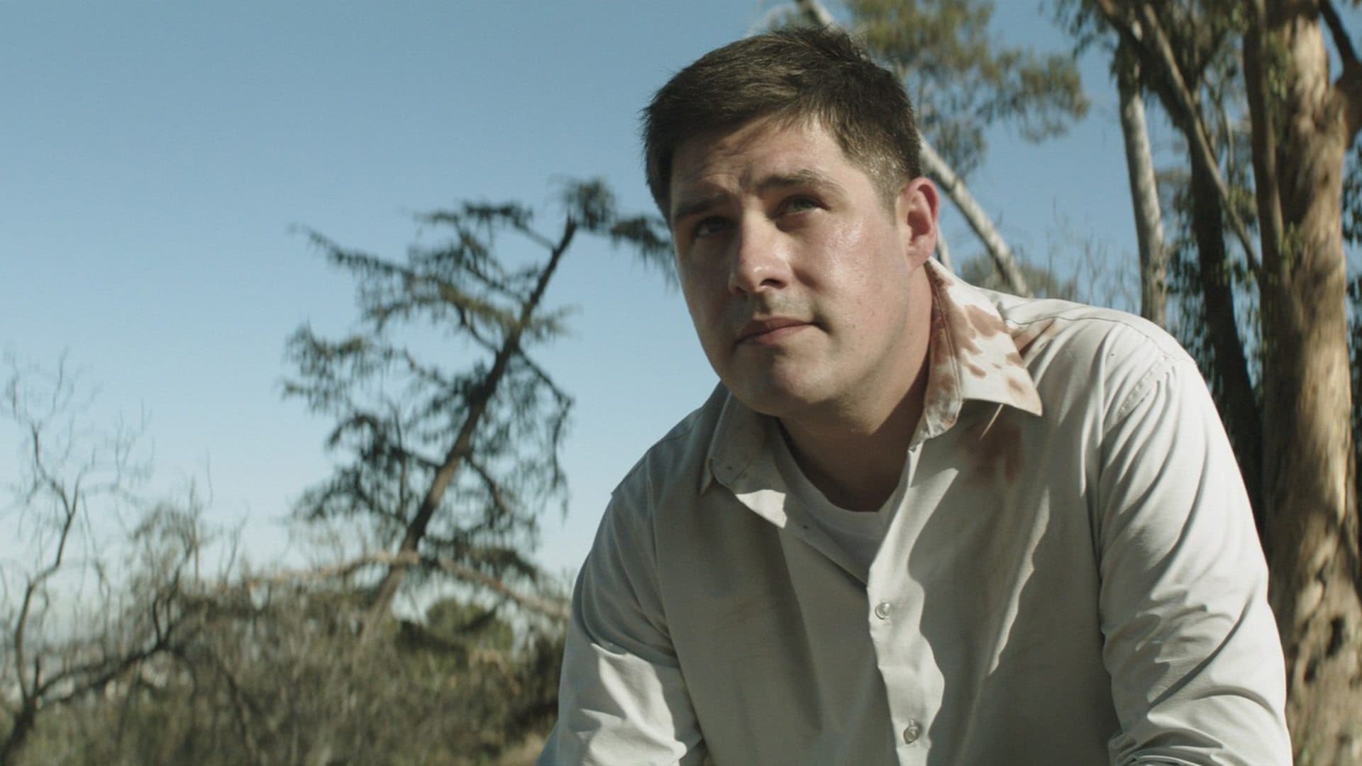 Backdrop of A Crooked Somebody