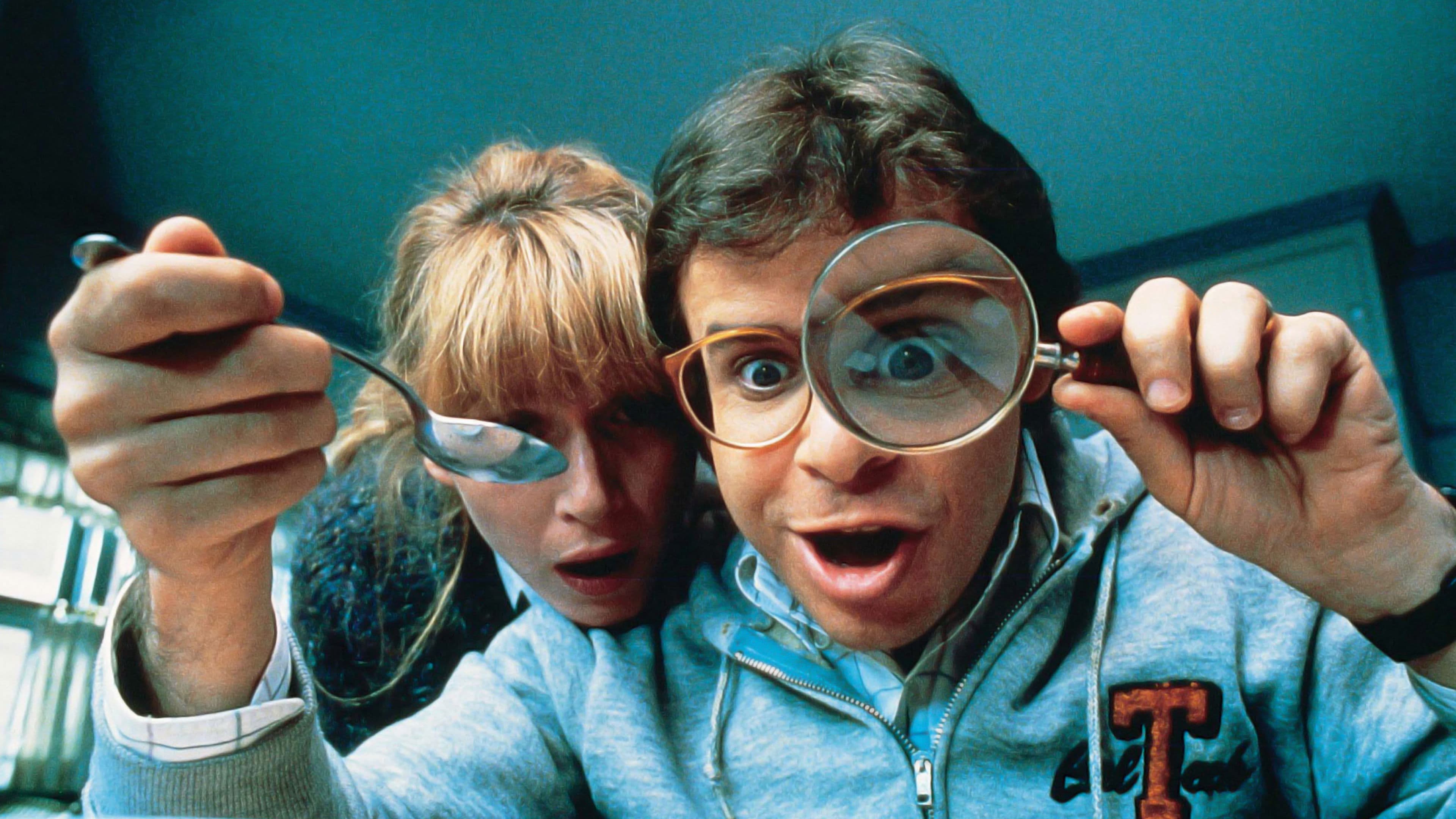 Backdrop of Honey, I Shrunk the Kids