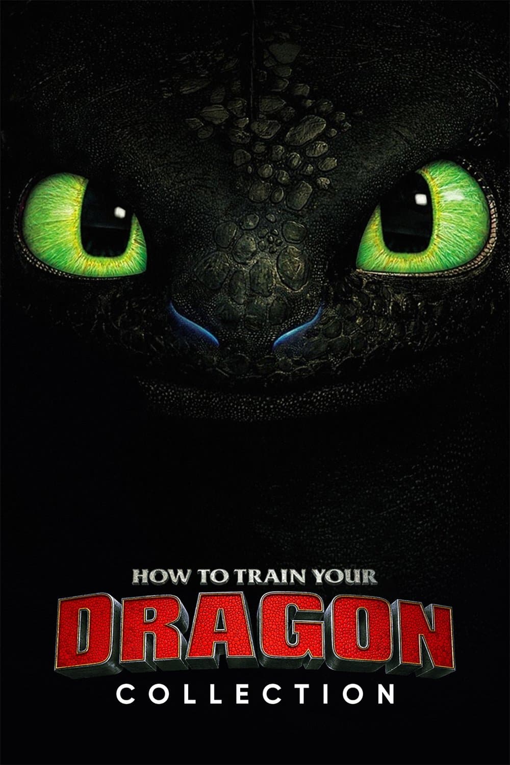 Poster of How to Train Your Dragon Collection