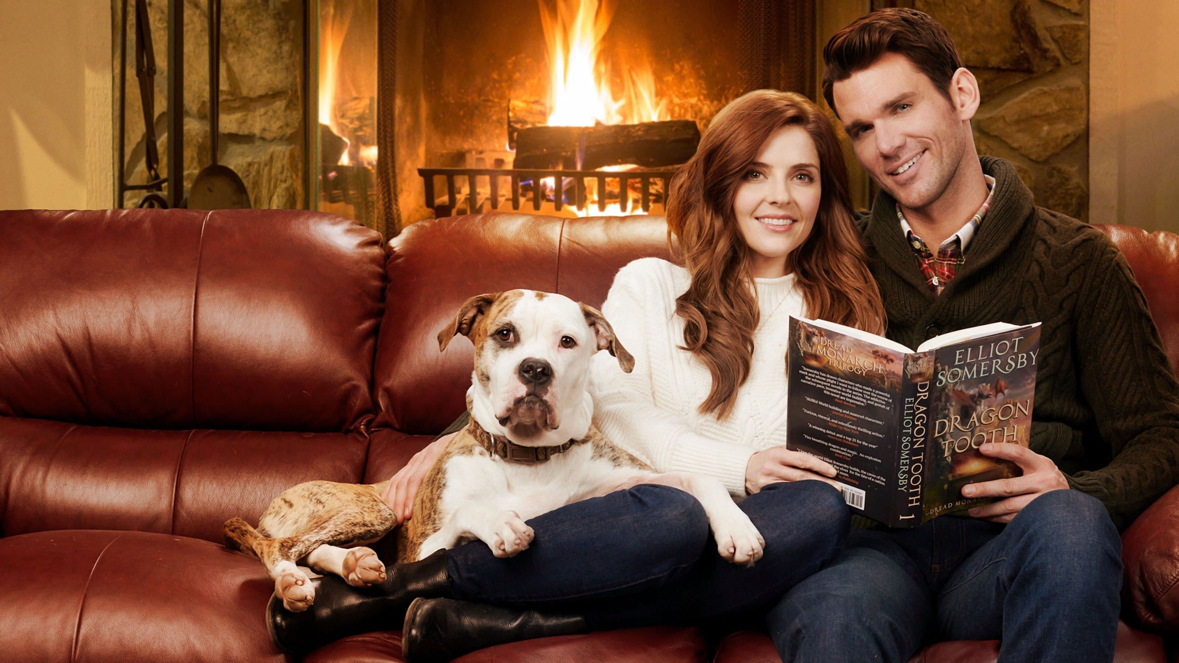 Backdrop of Winter Love Story