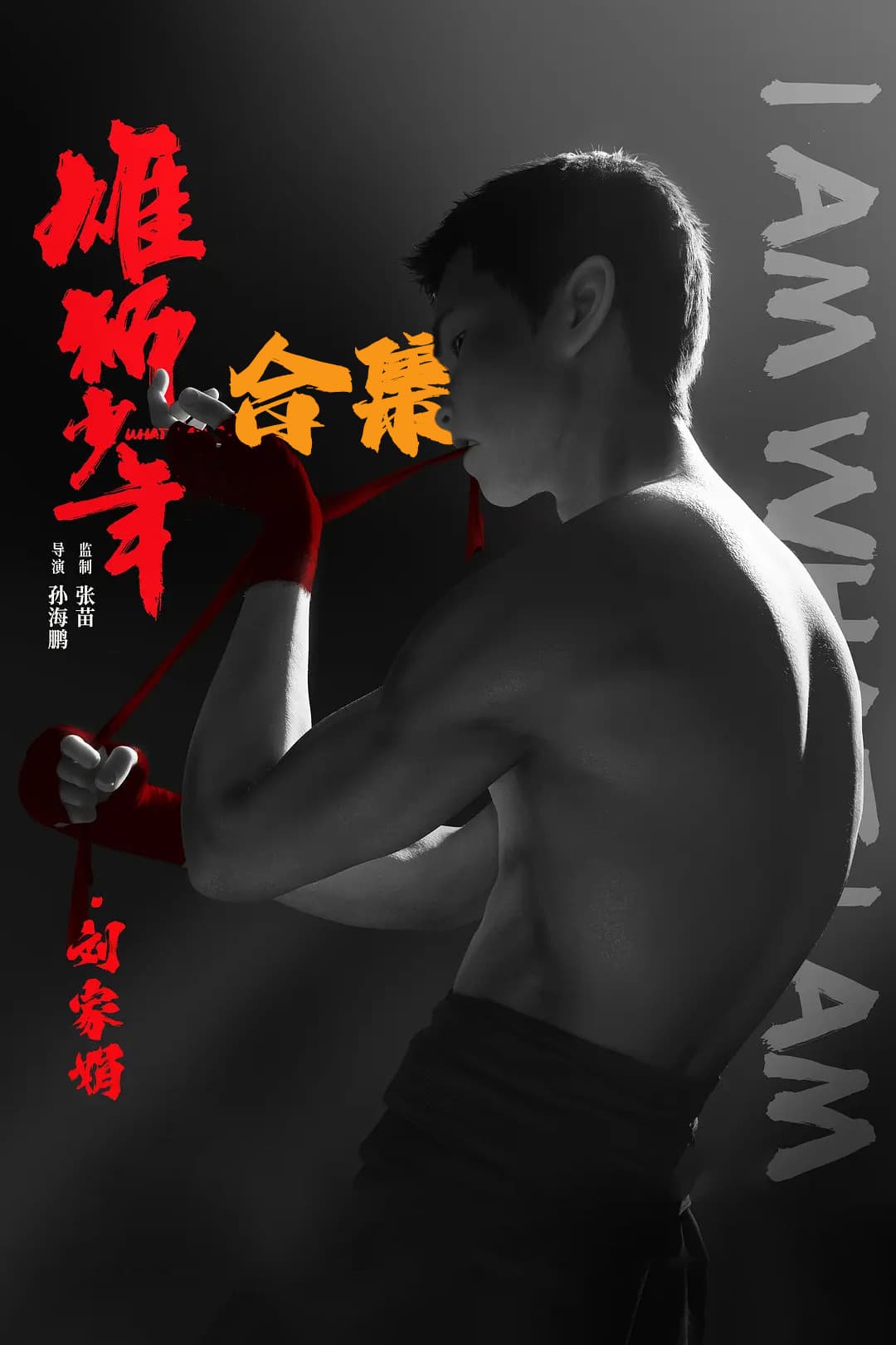 Poster of I Am What I Am Collection