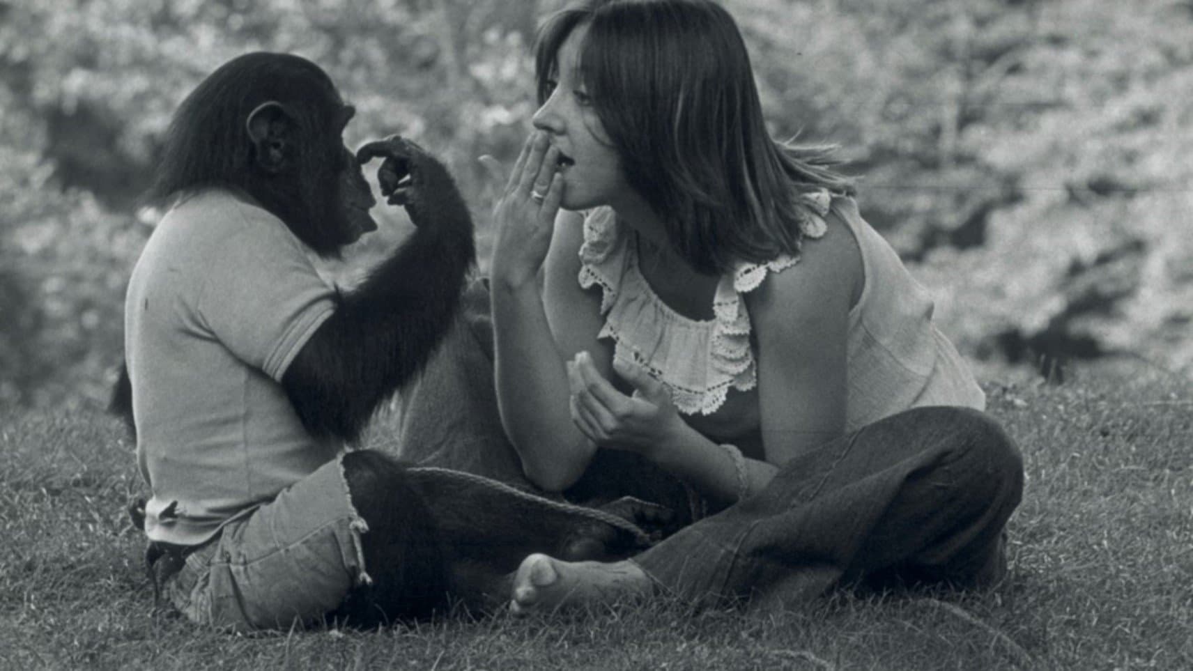 Backdrop of Project Nim