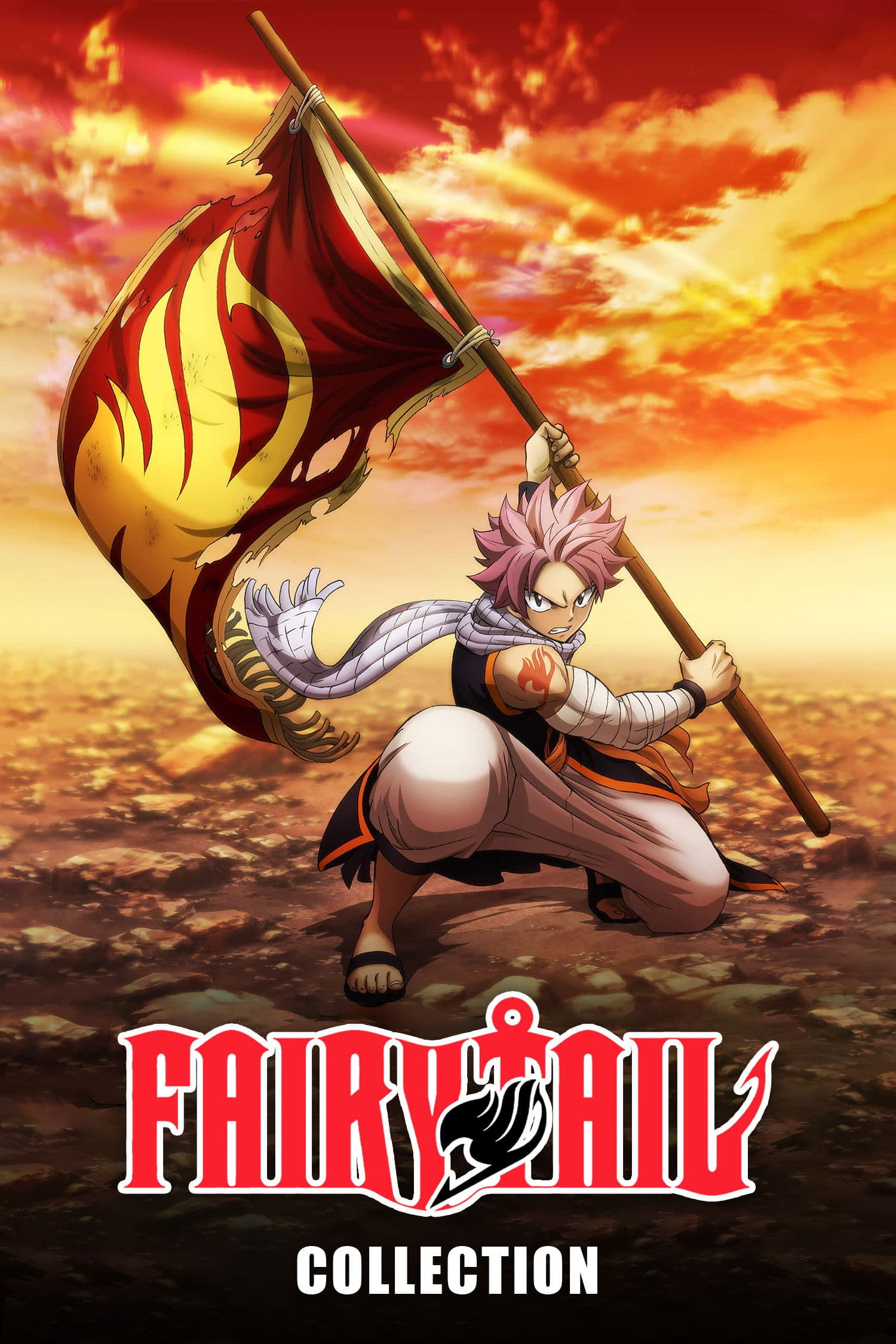 Poster of Fairy Tail Collection