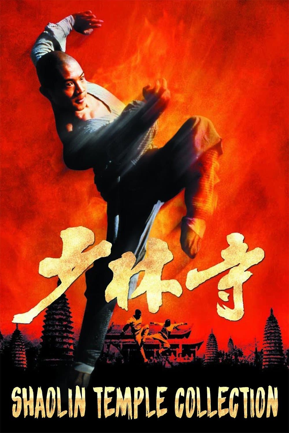 Poster of Shaolin Temple Collection