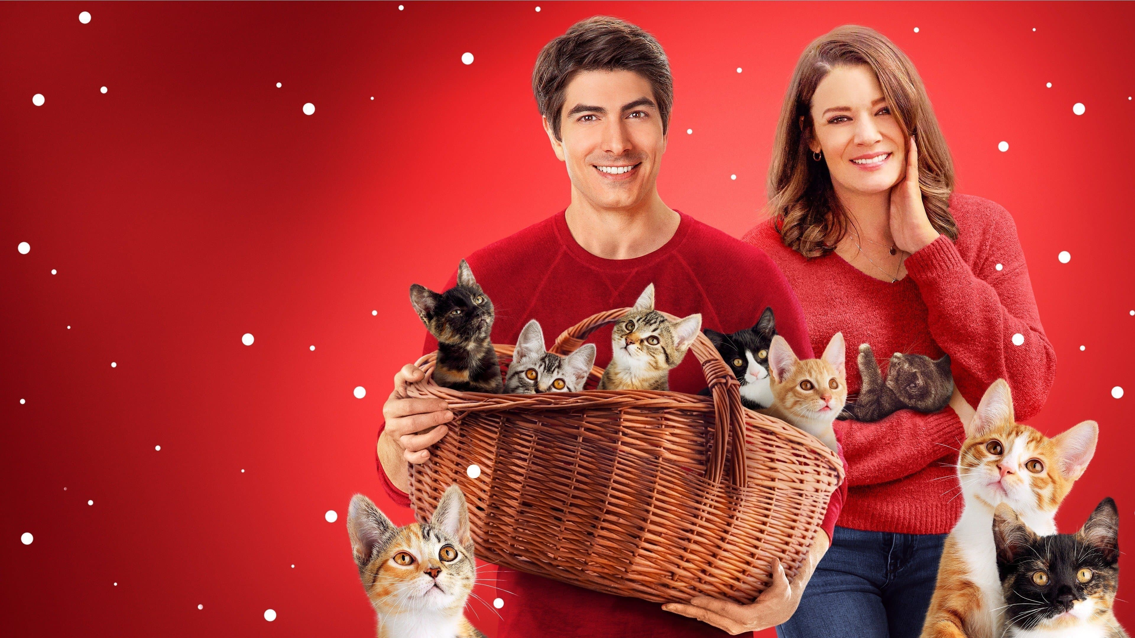 Backdrop of The Nine Kittens of Christmas