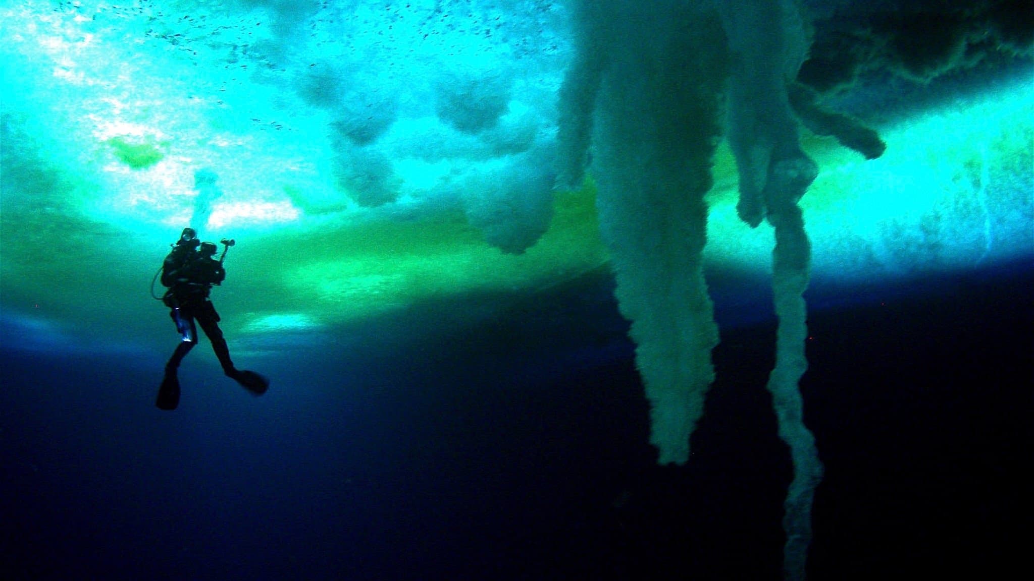 Backdrop of Encounters at the End of the World