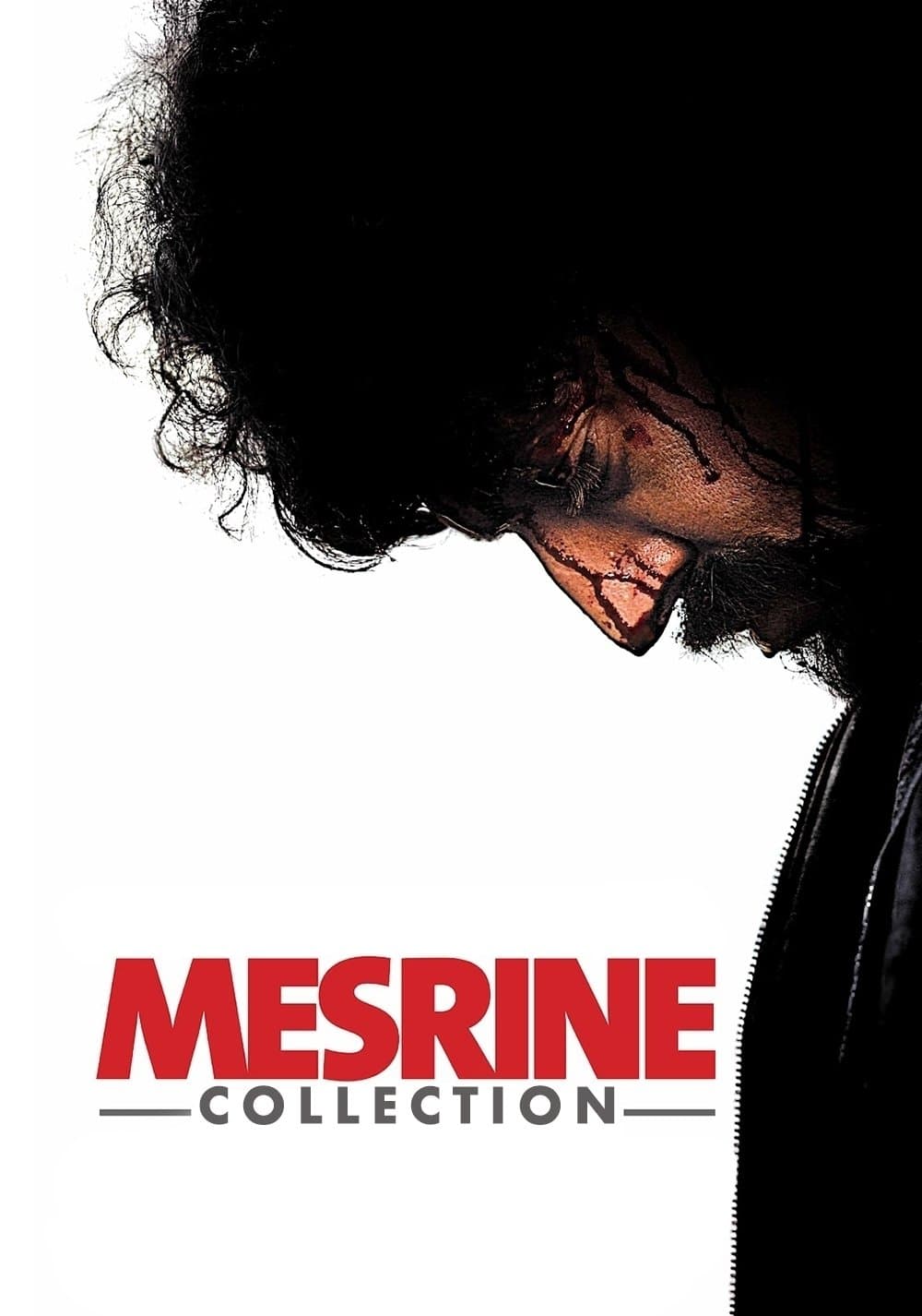 Poster of The Mesrine Collection