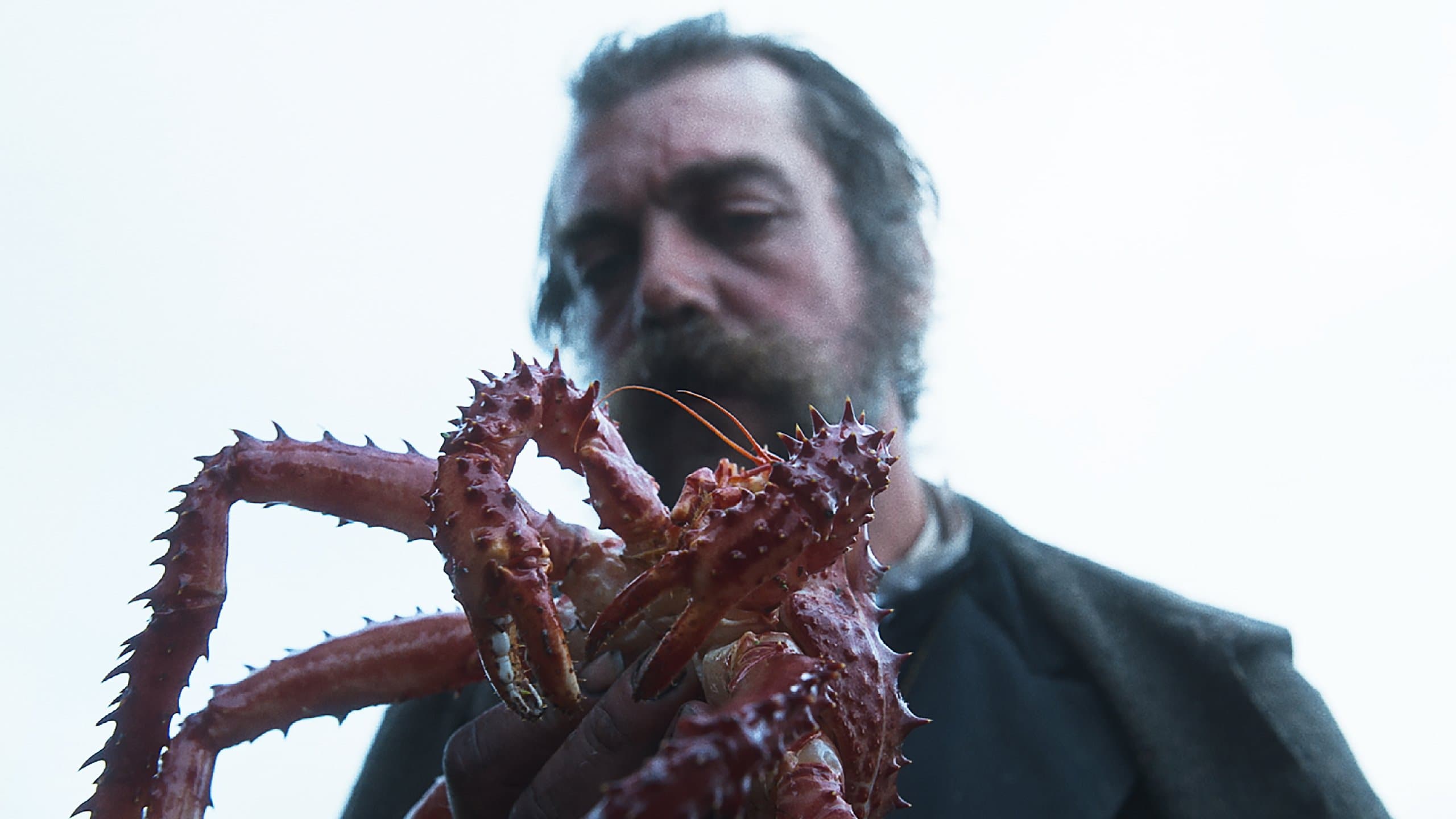 Backdrop of The Tale of King Crab