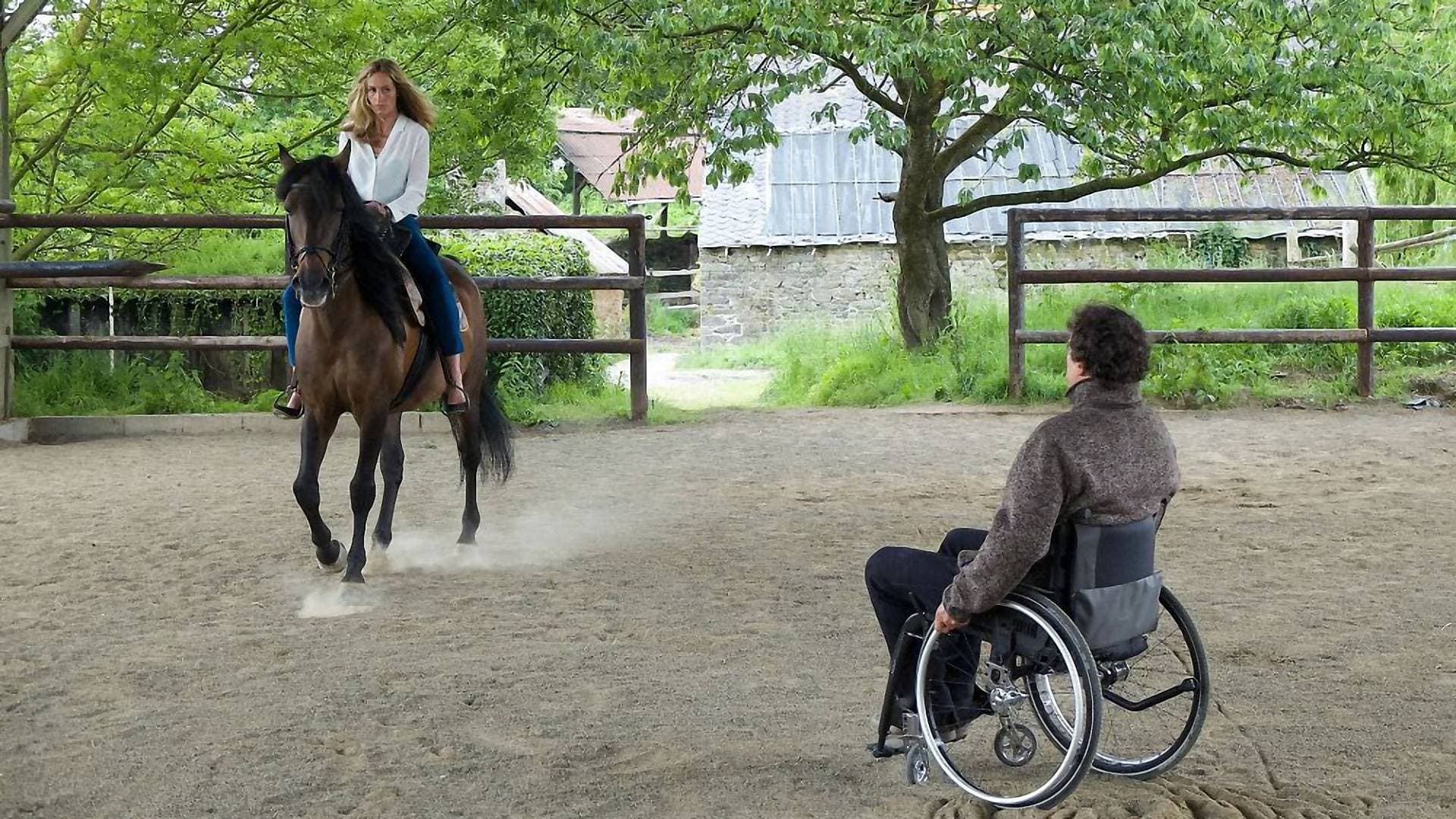 Backdrop of In Harmony