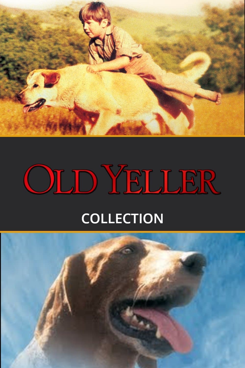 Poster of The Old Yeller Collection