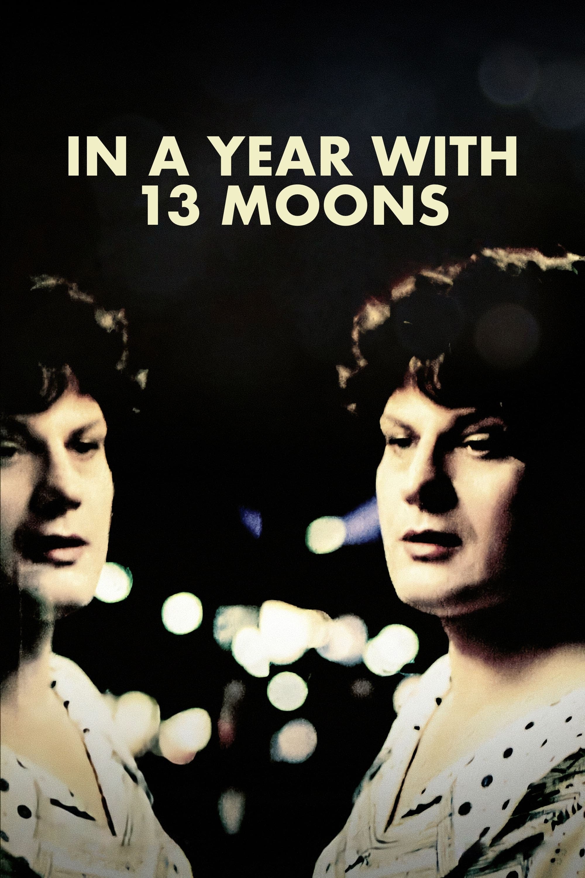 Poster of In a Year with 13 Moons