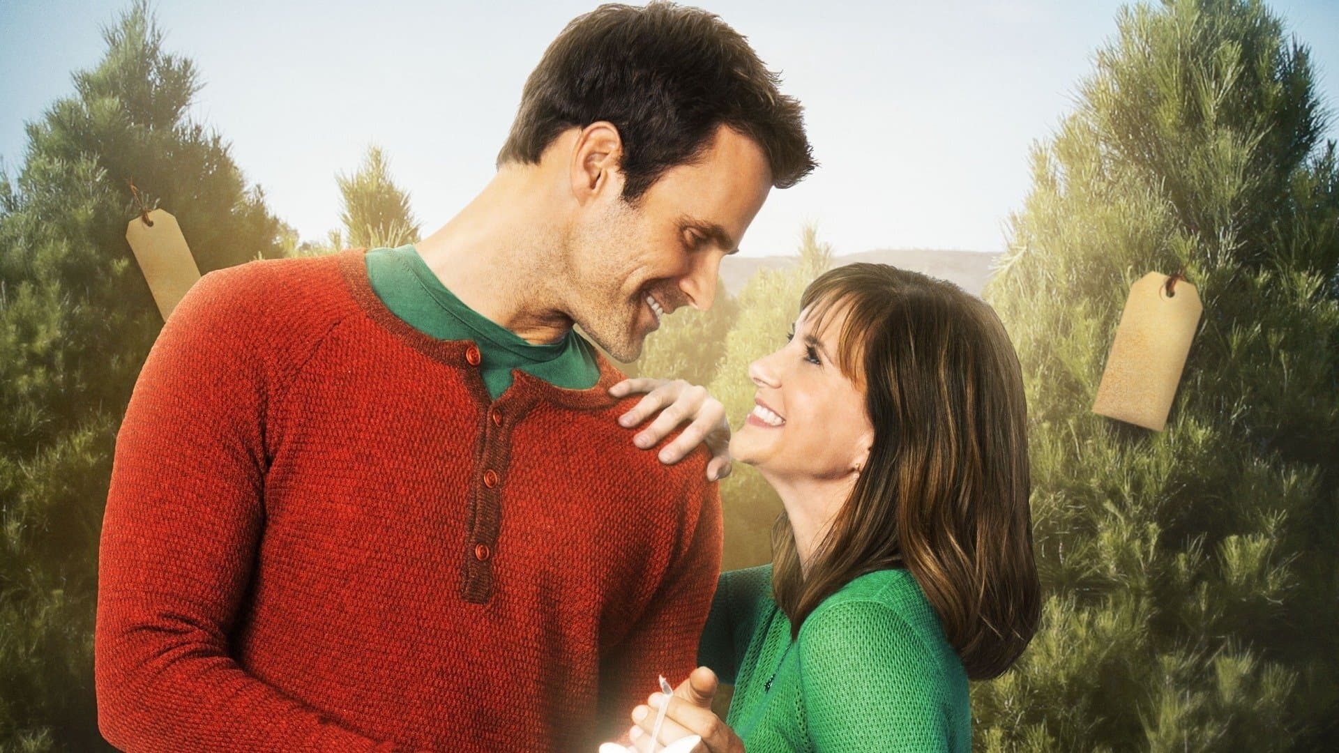 Backdrop of The Christmas Ornament