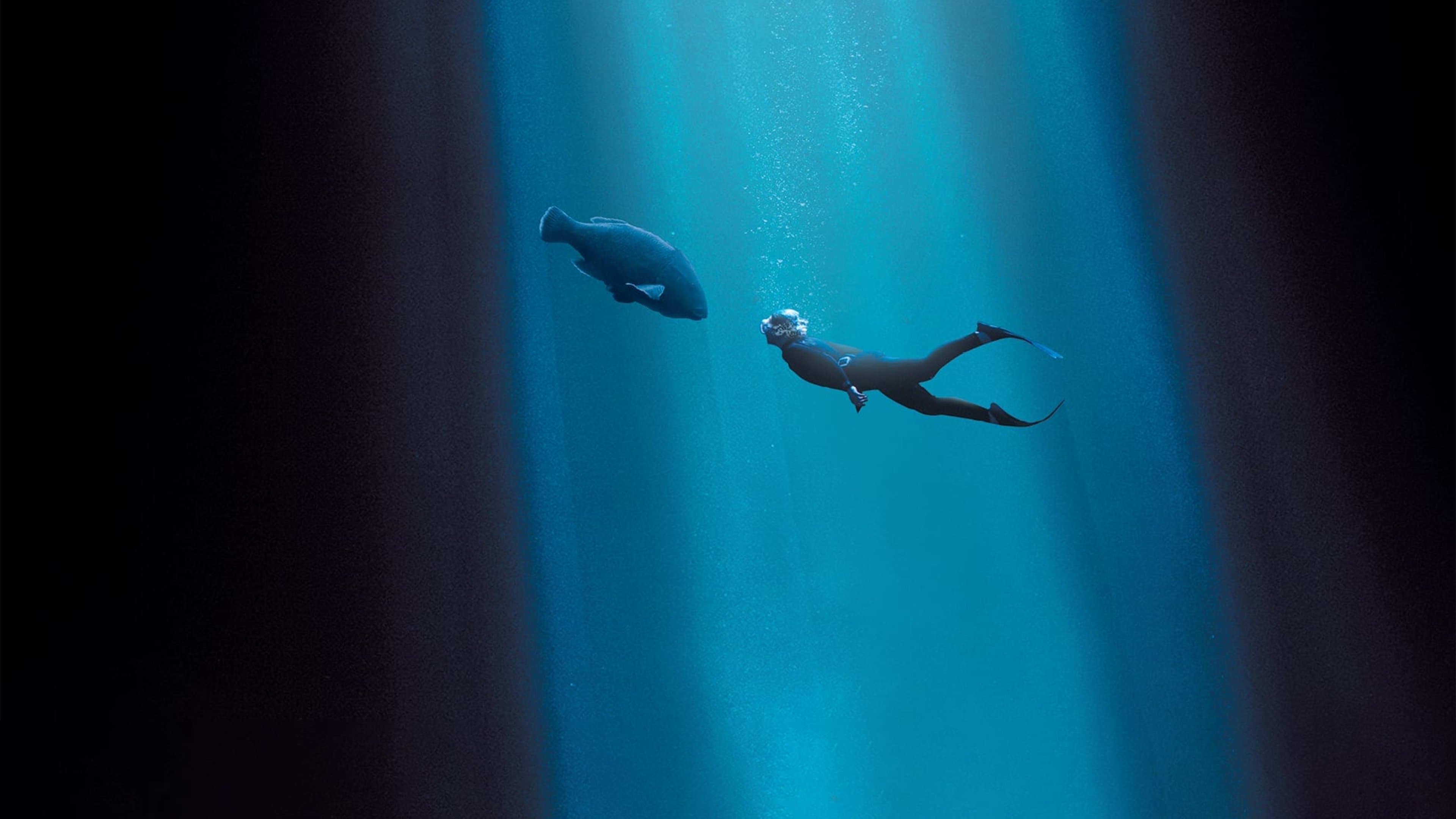 Backdrop of Blueback