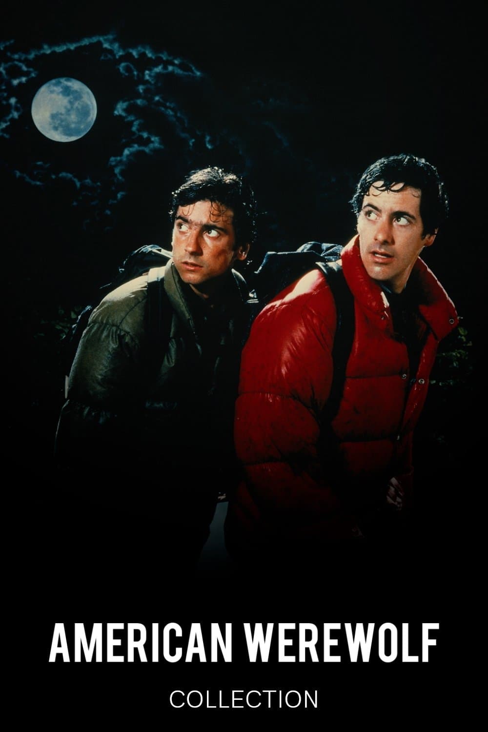Poster of An American Werewolf Collection