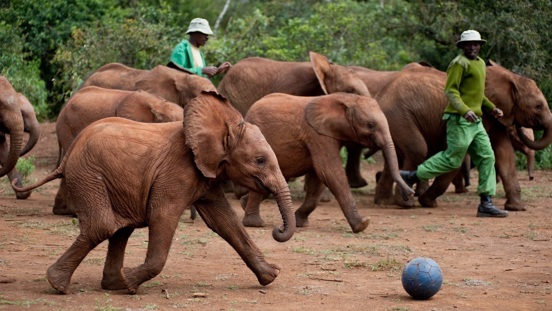 Backdrop of Born to Be Wild