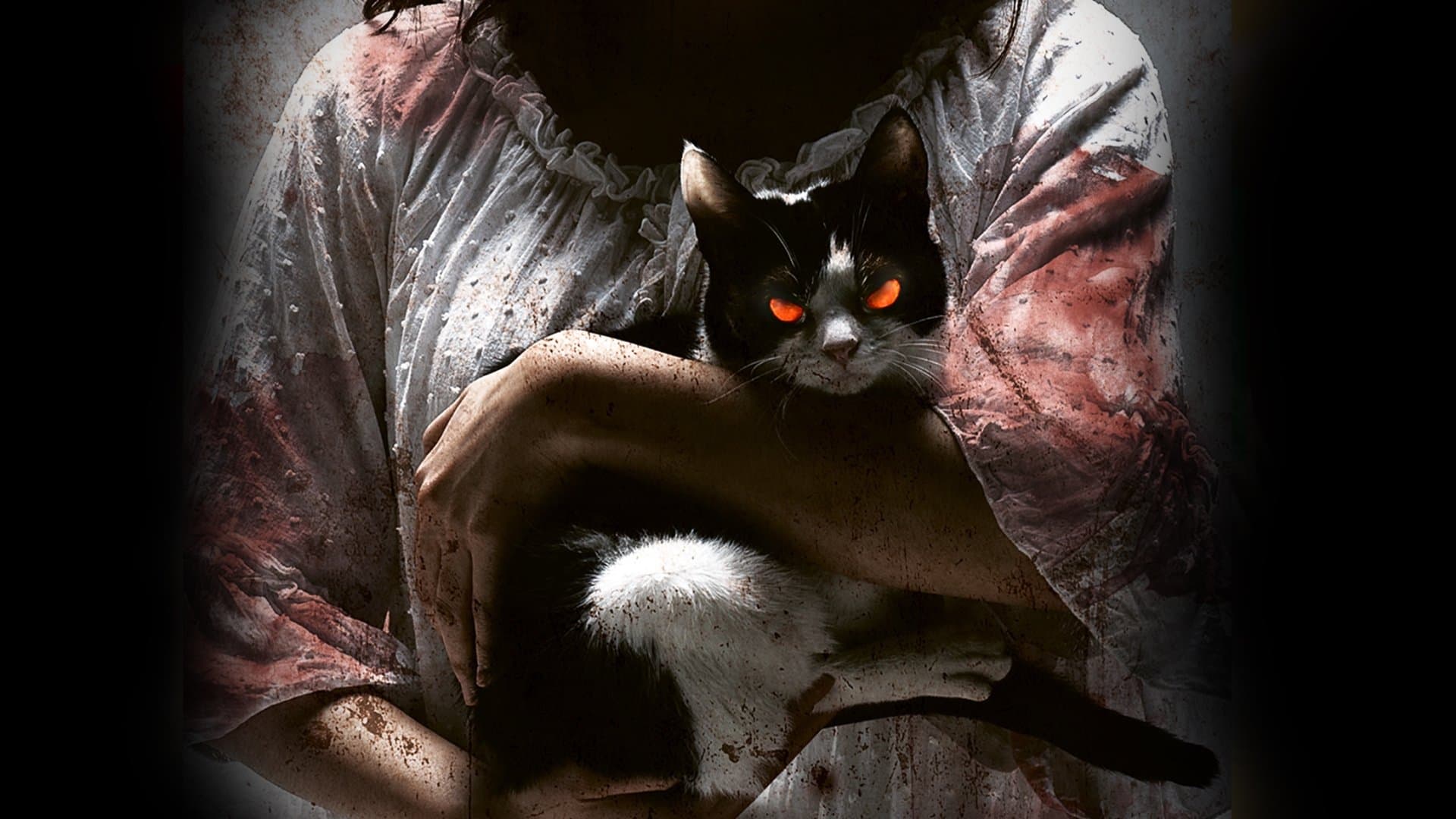 Backdrop of The Cat