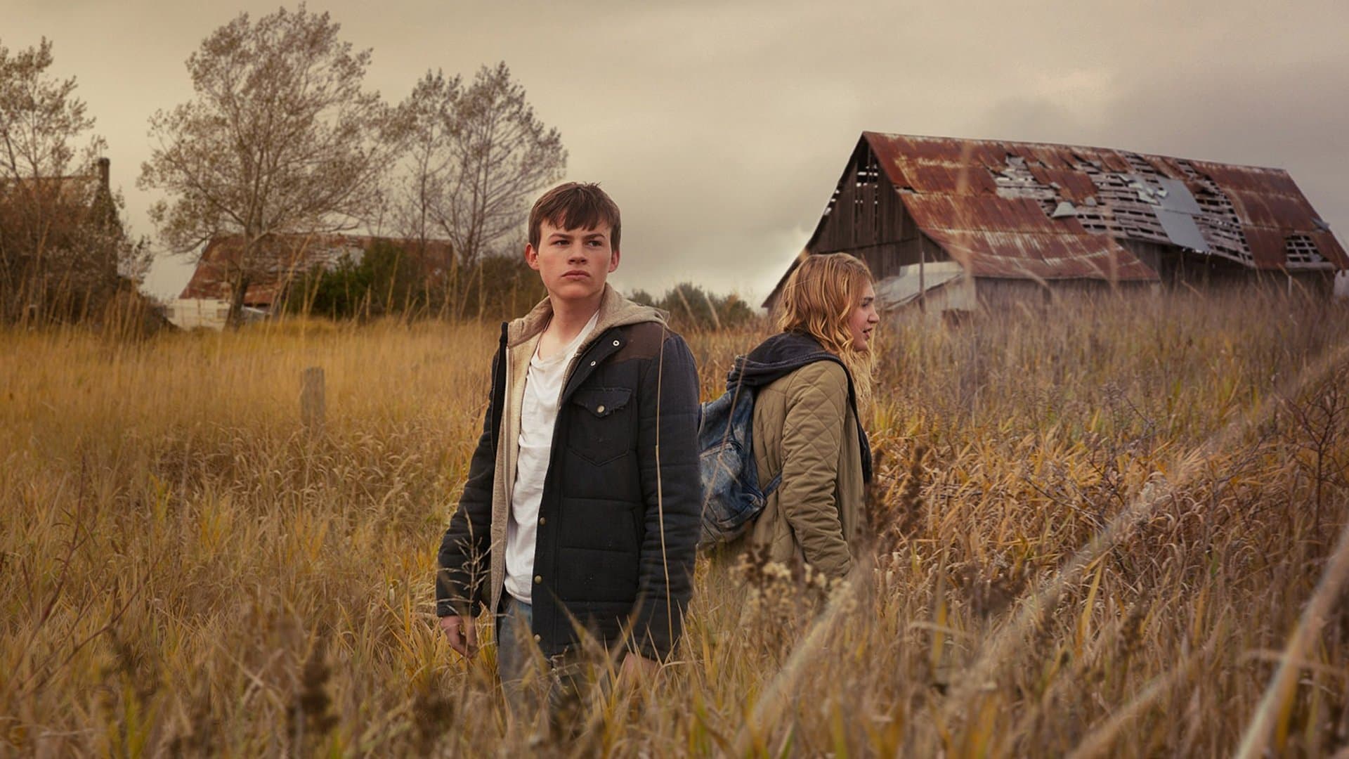 Backdrop of Mean Dreams