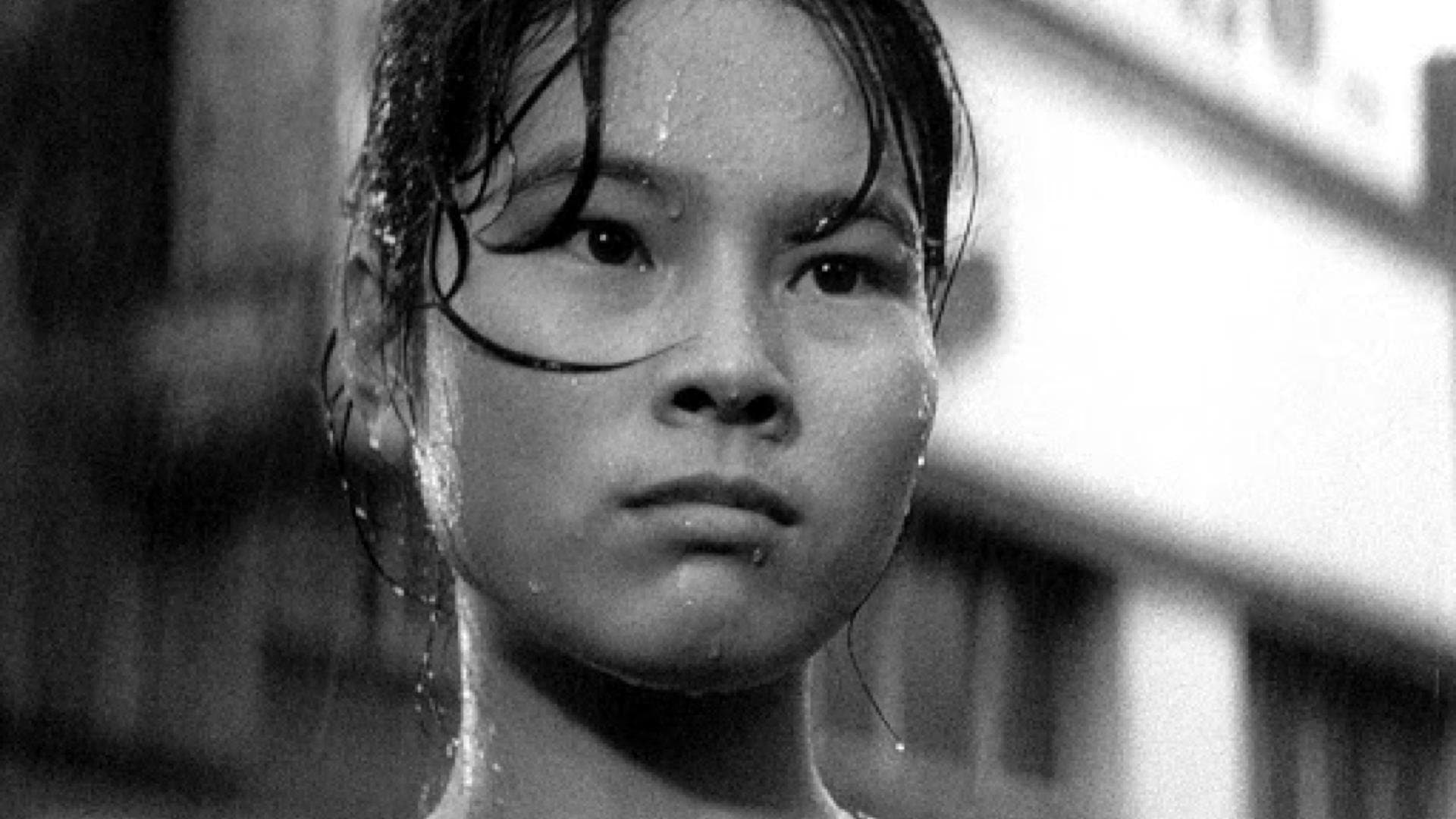 Backdrop of Pigs and Battleships