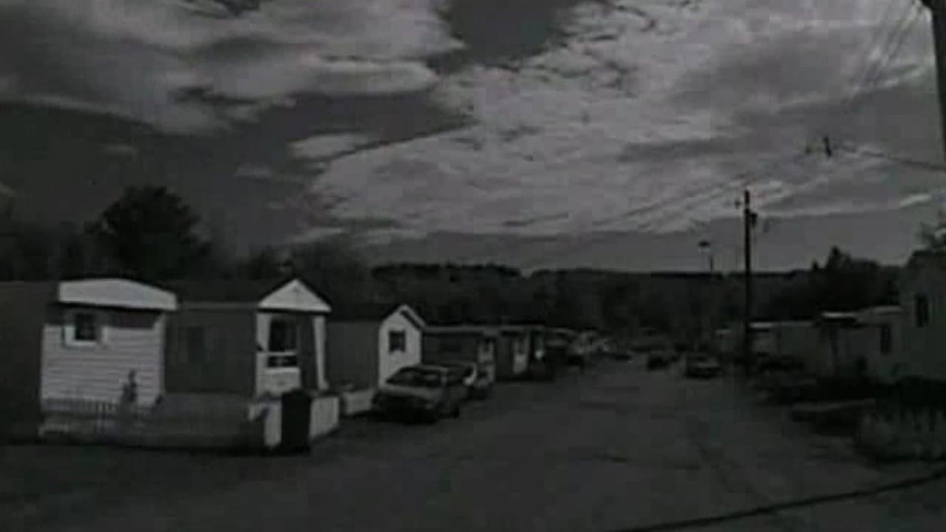 Backdrop of Trailer Park Boys