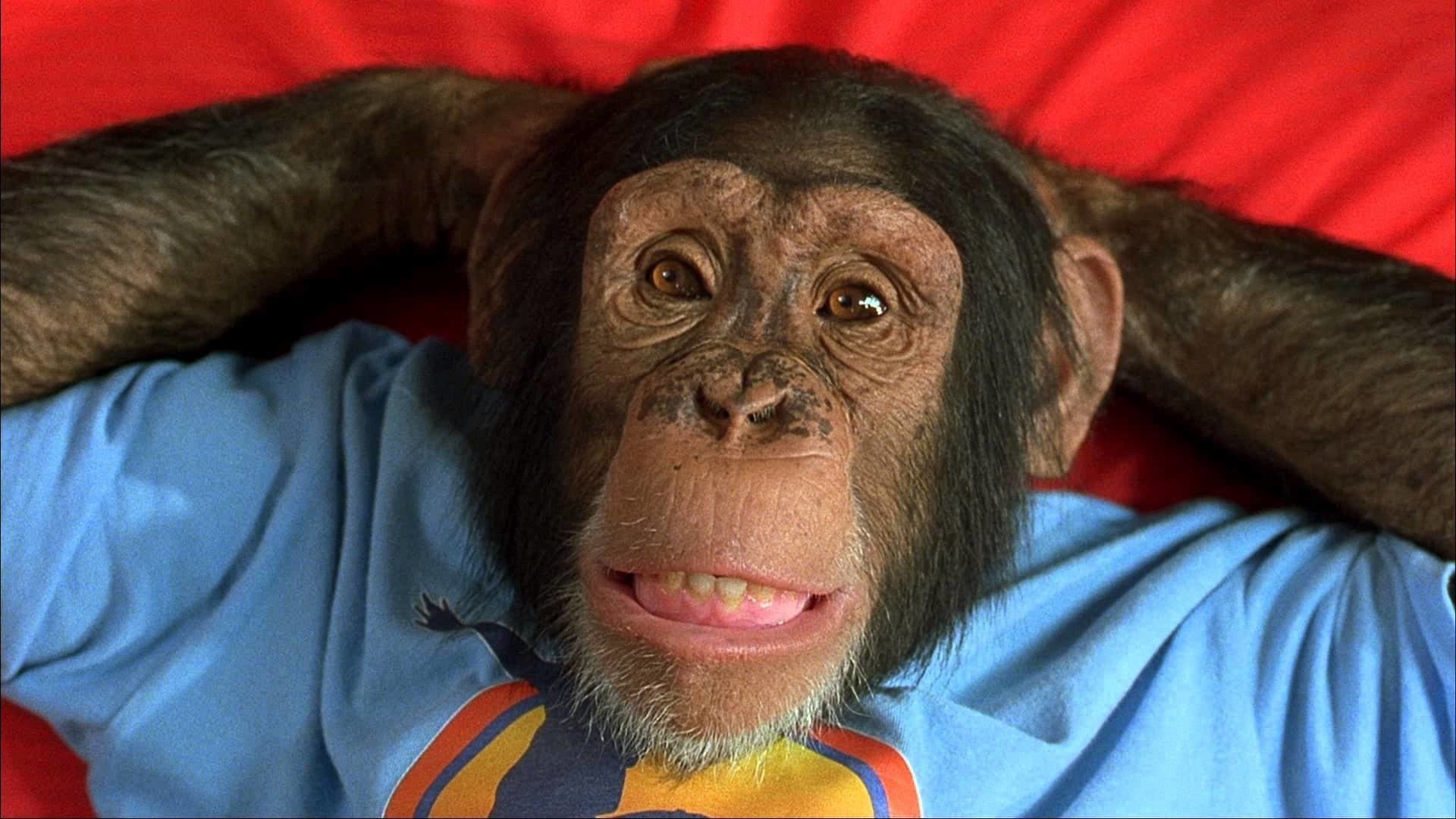 Backdrop of MVP Collection
