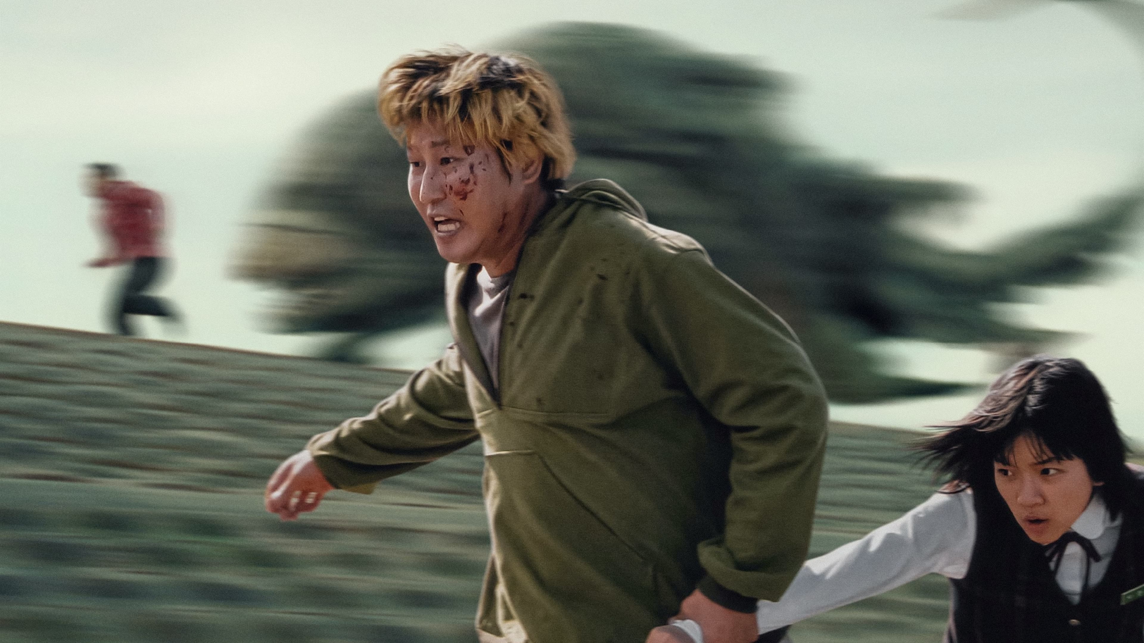 Backdrop of The Host